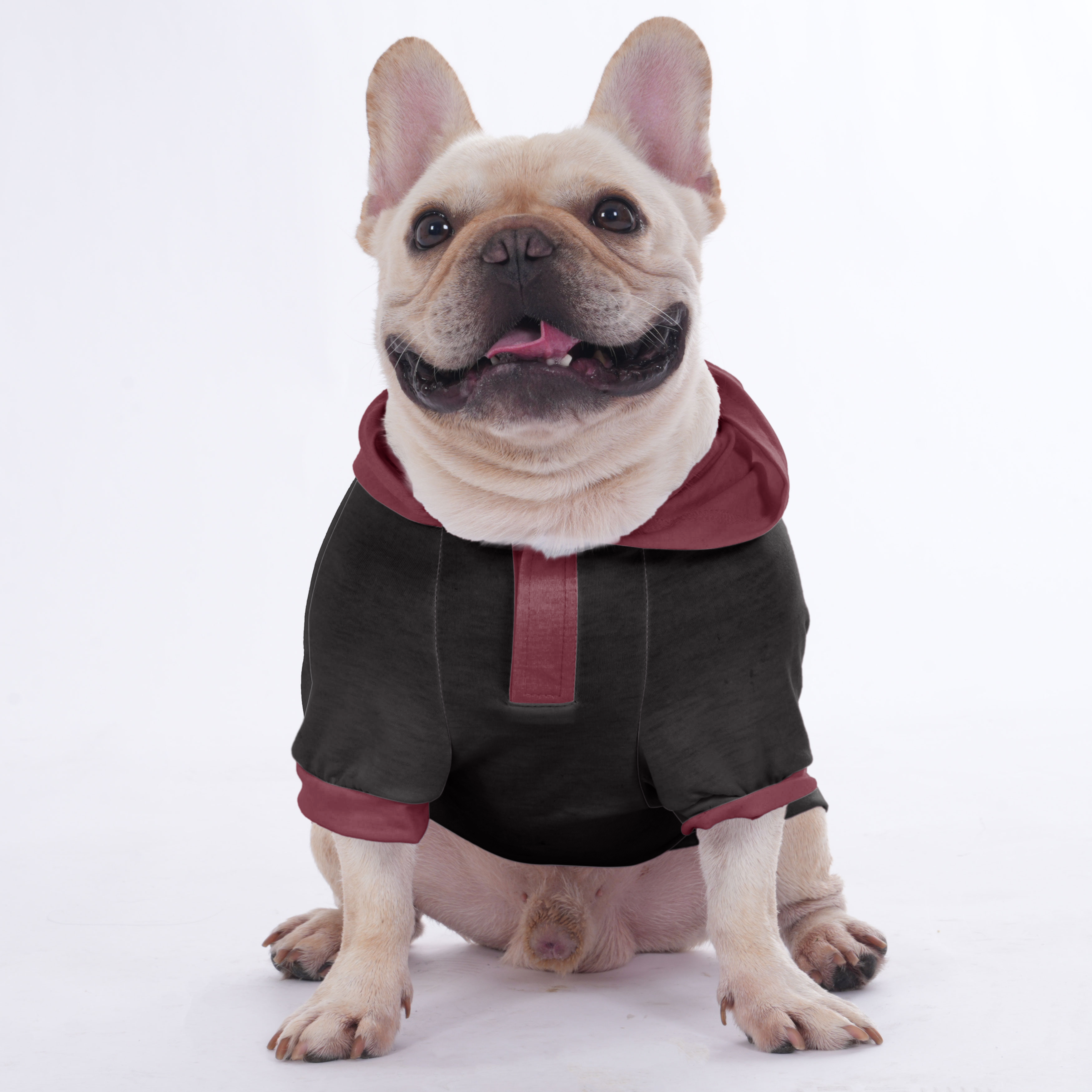 Cookie French Bulldog Pet Sweatshirt for Short-Nosed Dogs-fadou