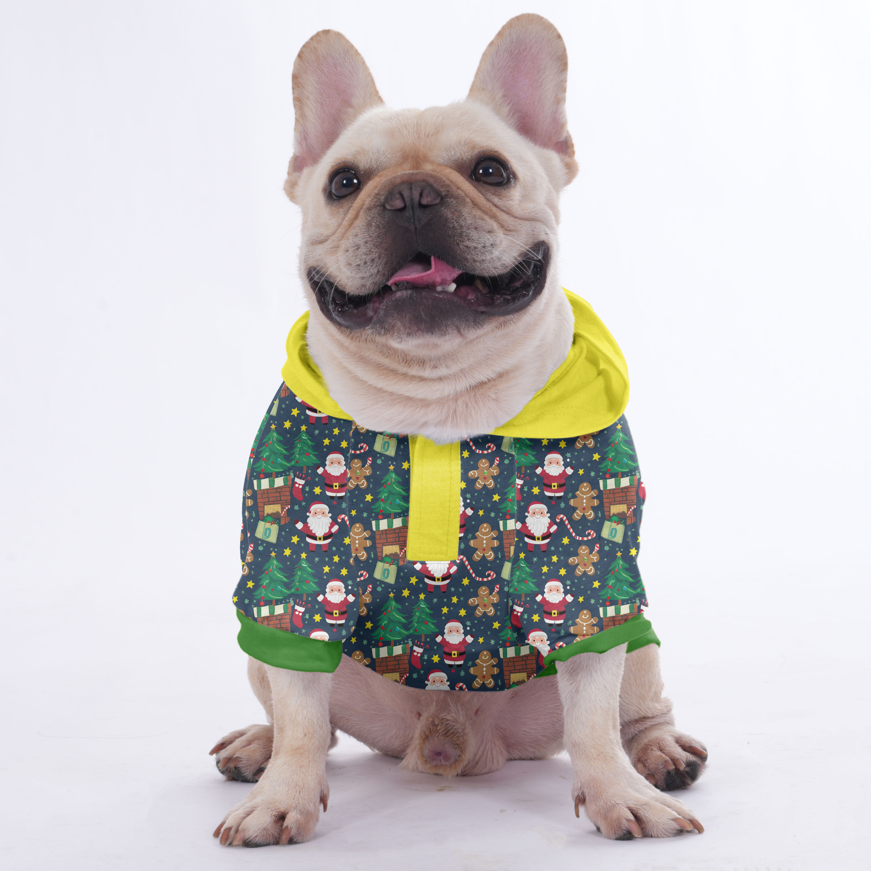 Paquito French Bulldog Pet Sweatshirt for Training Sessions-fadou