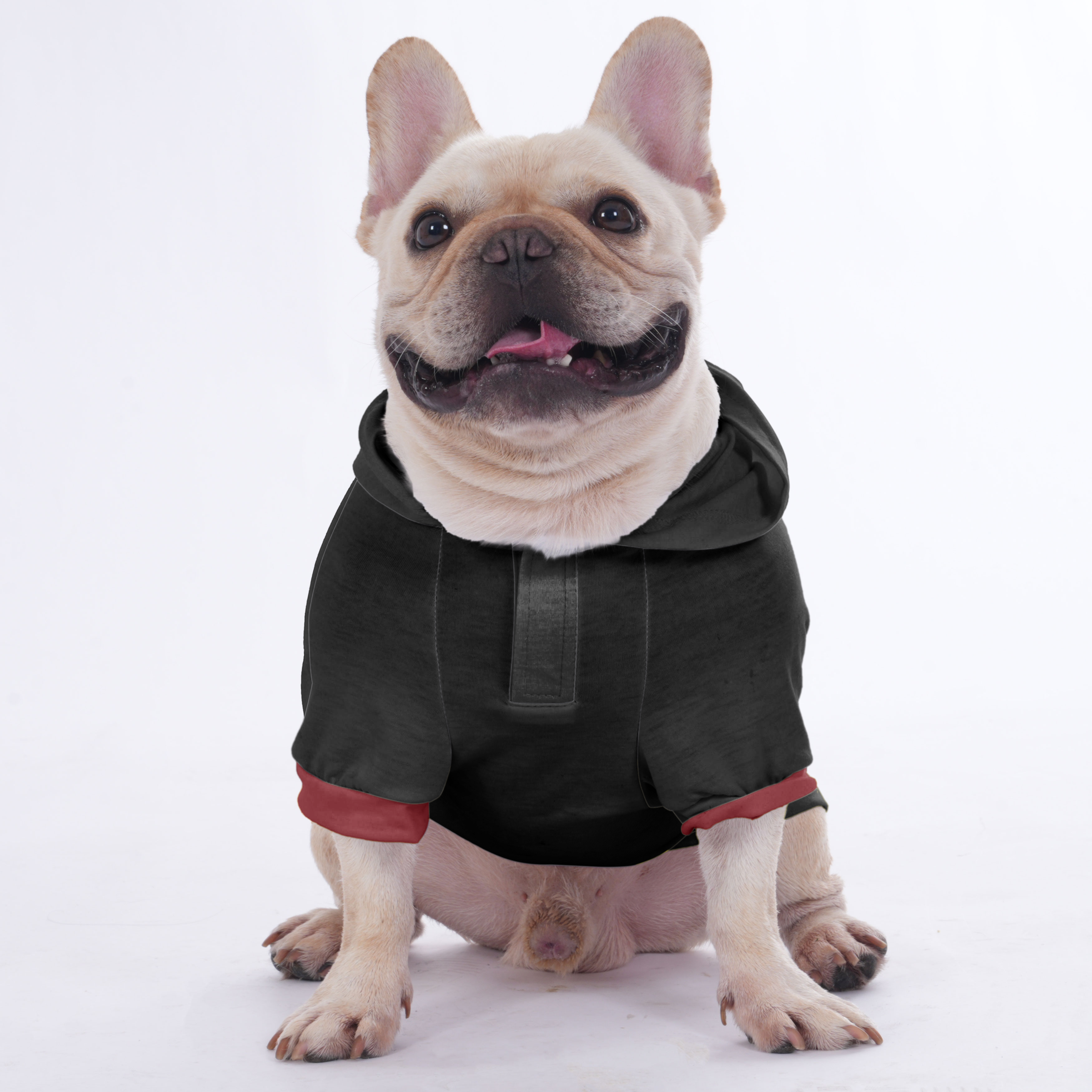 Honey French Bulldog Fleece Hoodie for Brachycephalic Dogs-fadou