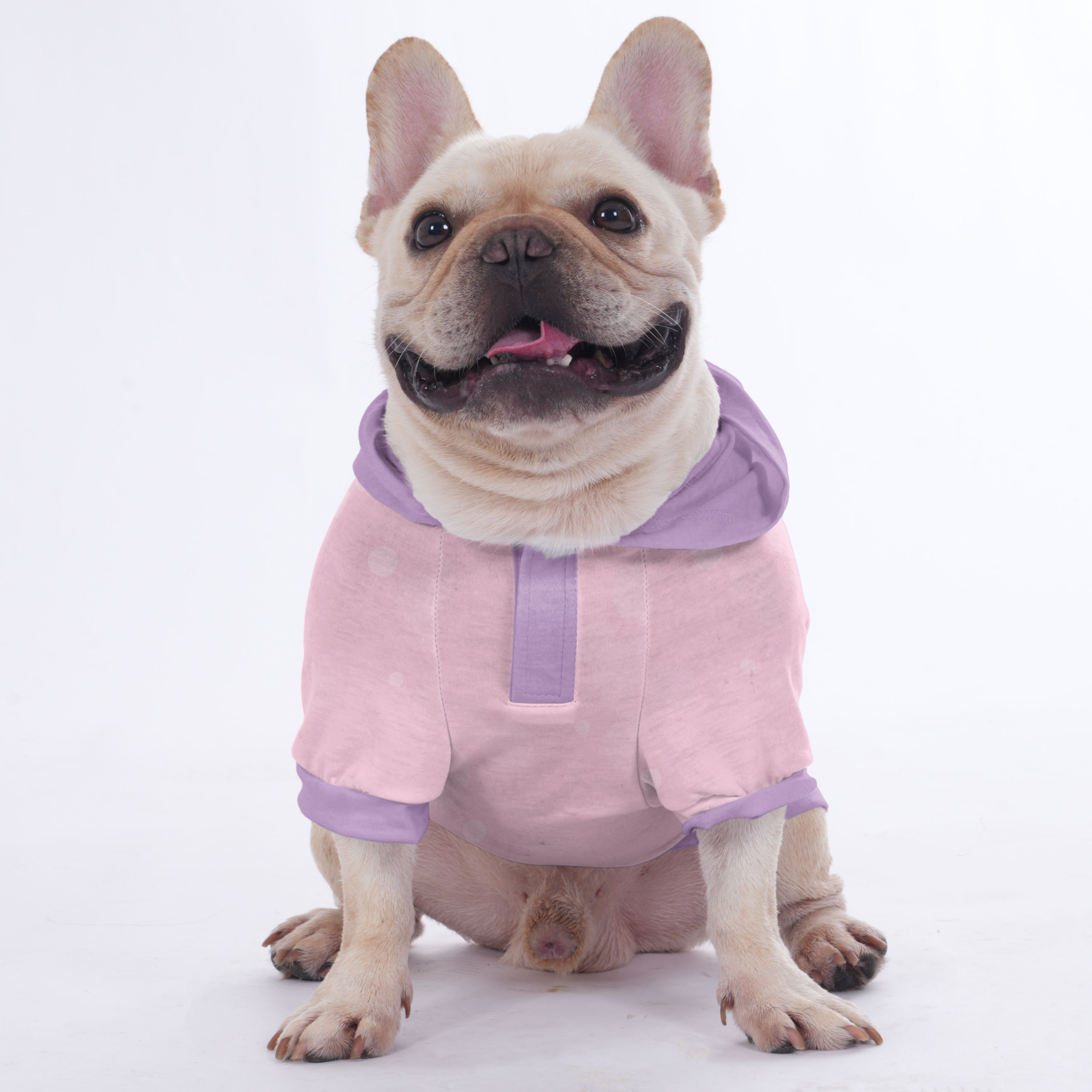 I French Bulldog Fleece Hoodie for Frenchie Enthusiasts-fadou