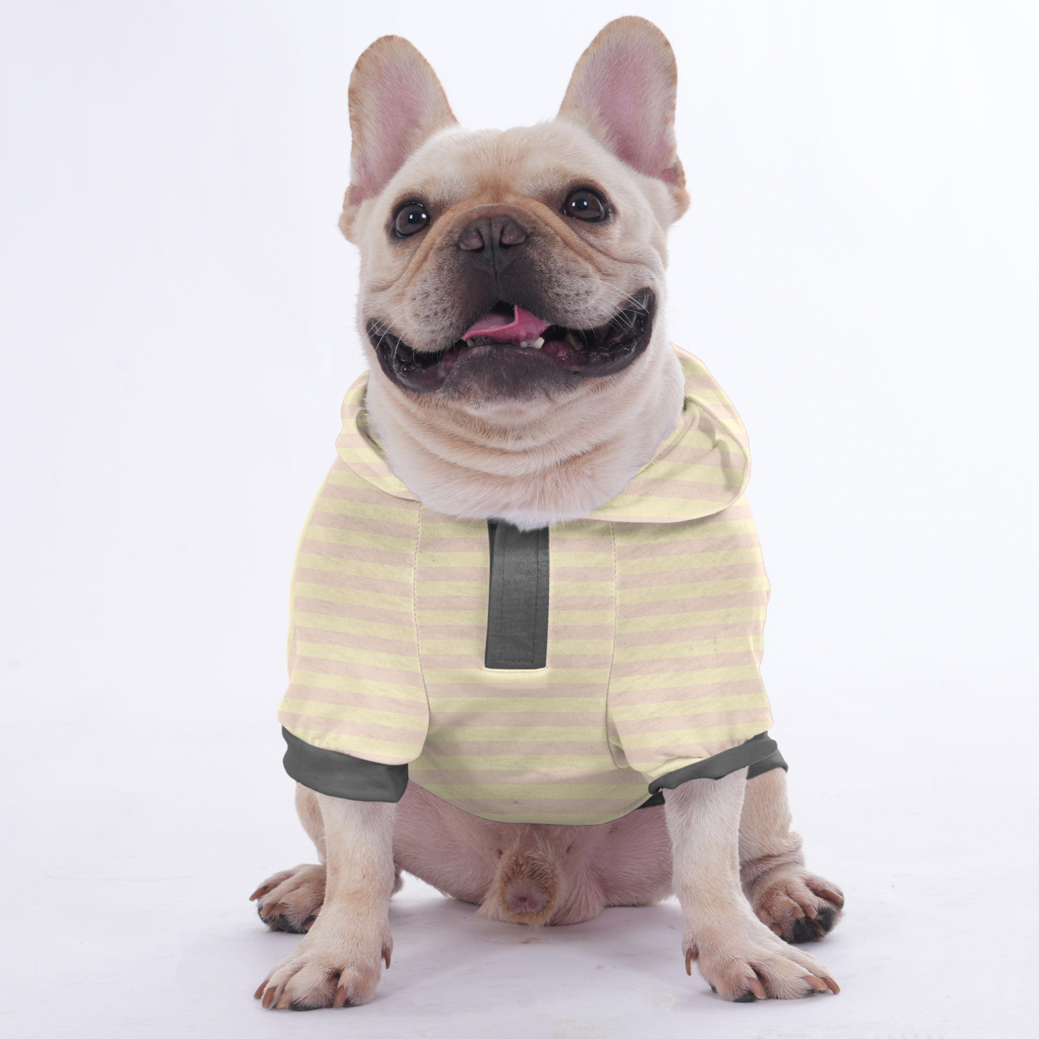 Stealin French Bulldog Dog Hoodie for Brachycephalic Dogs-fadou