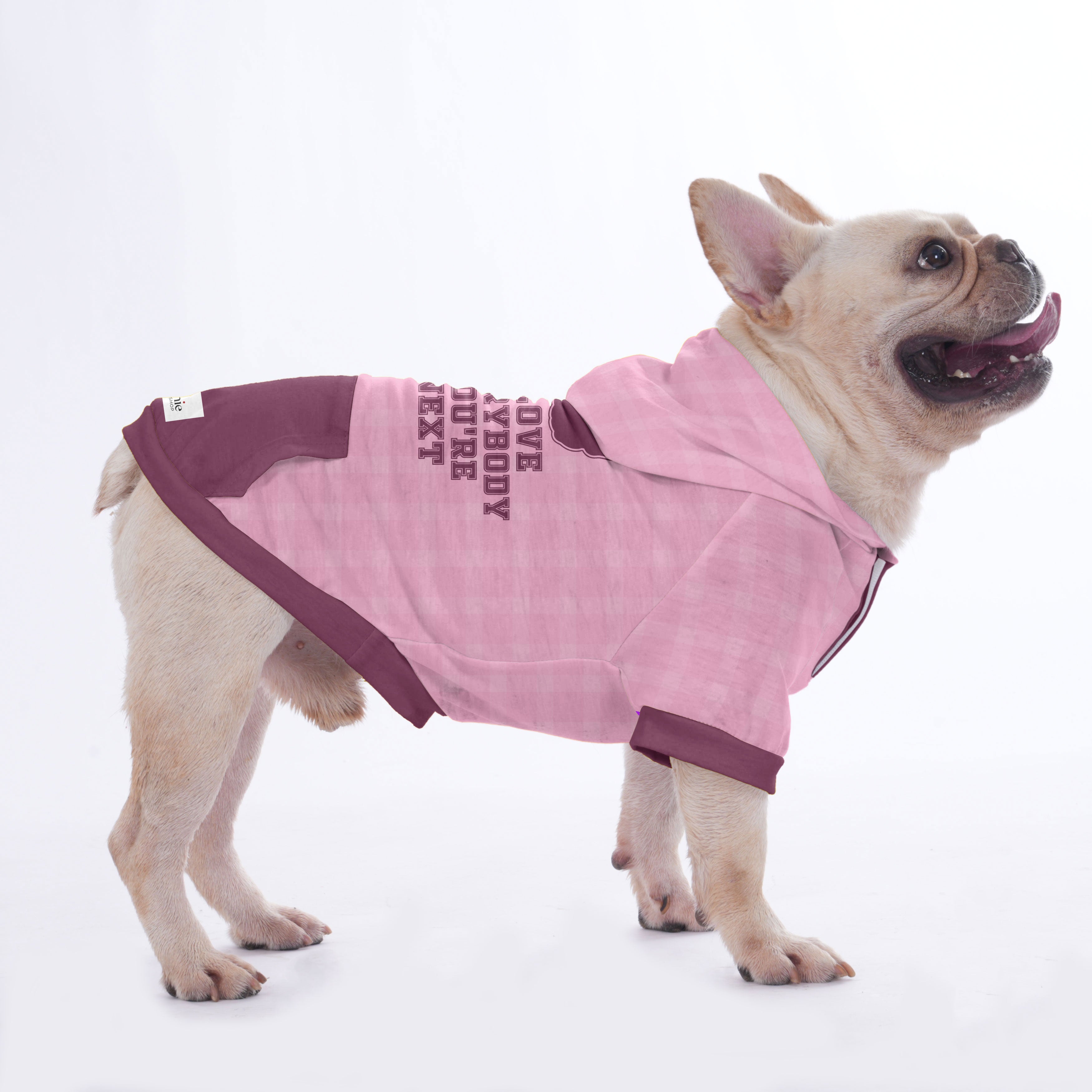 Ames French Bulldog Pet Sweatshirt for Short-Nosed Dogs-fadou