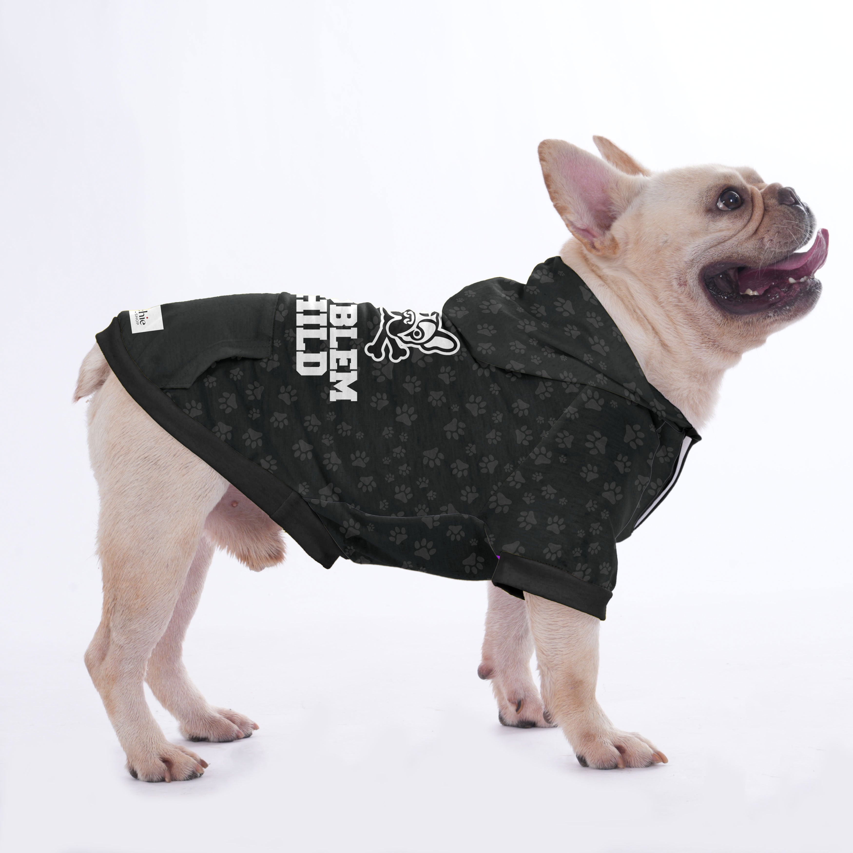 Problem French Bulldog Pet Parent Pullover for Dog Moms & Dads-fadou