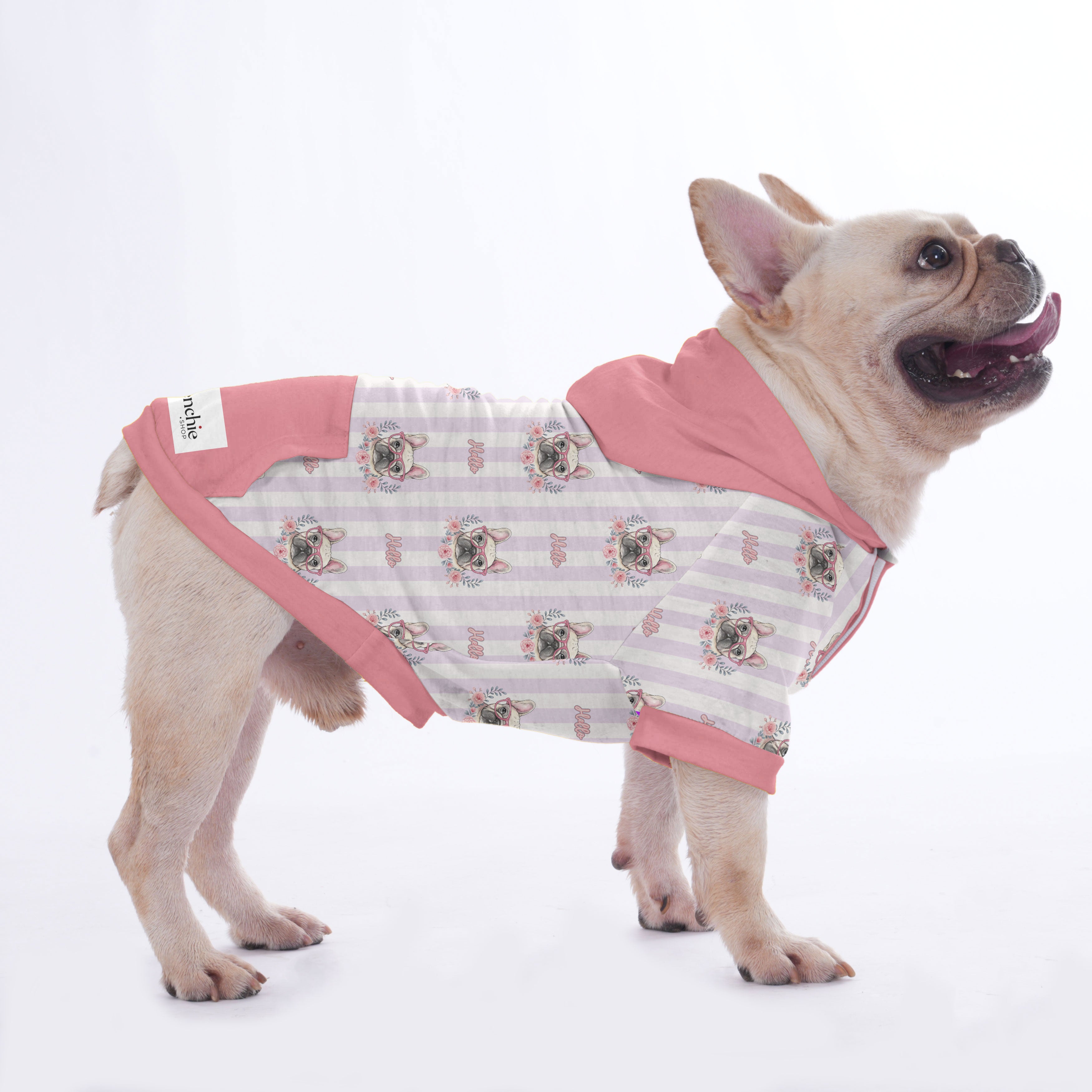 Chowder French Bulldog Pet Sweatshirt for Outdoor Adventures-fadou