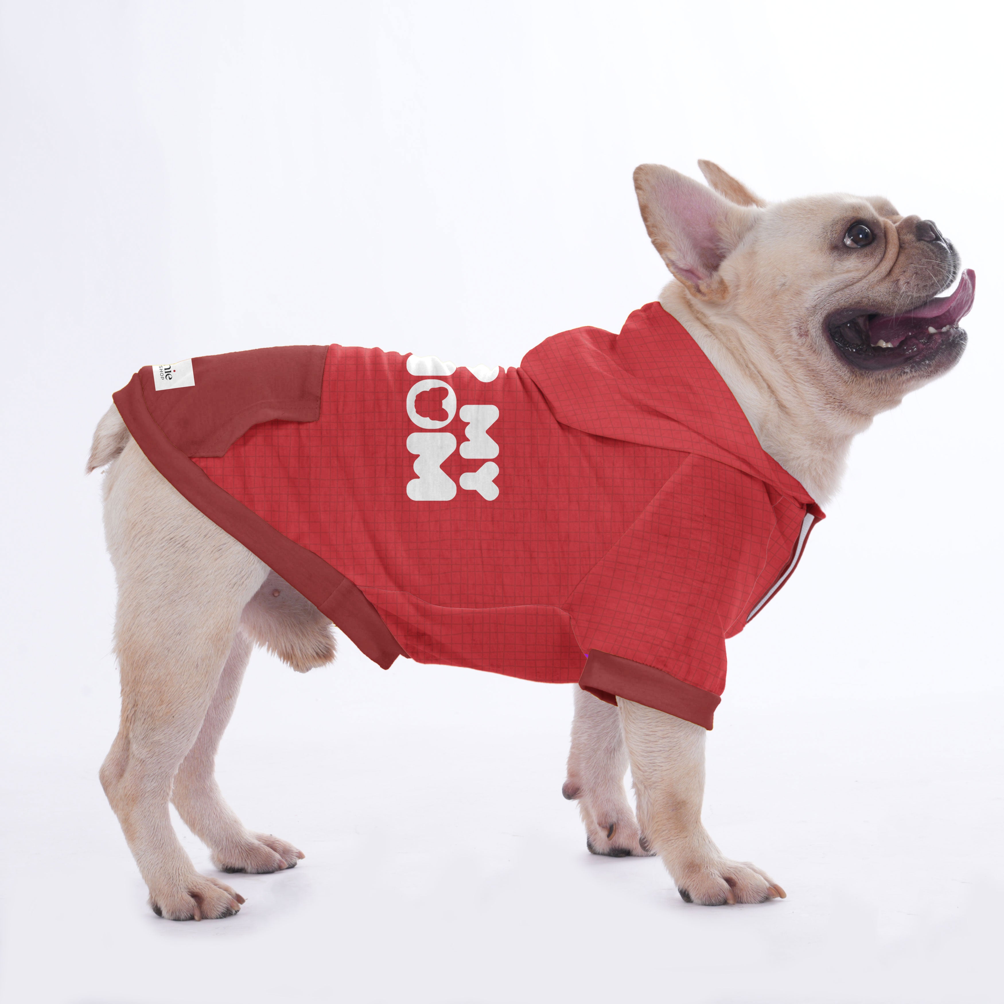 Dove French Bulldog Fleece Hoodie for Training Sessions-fadou