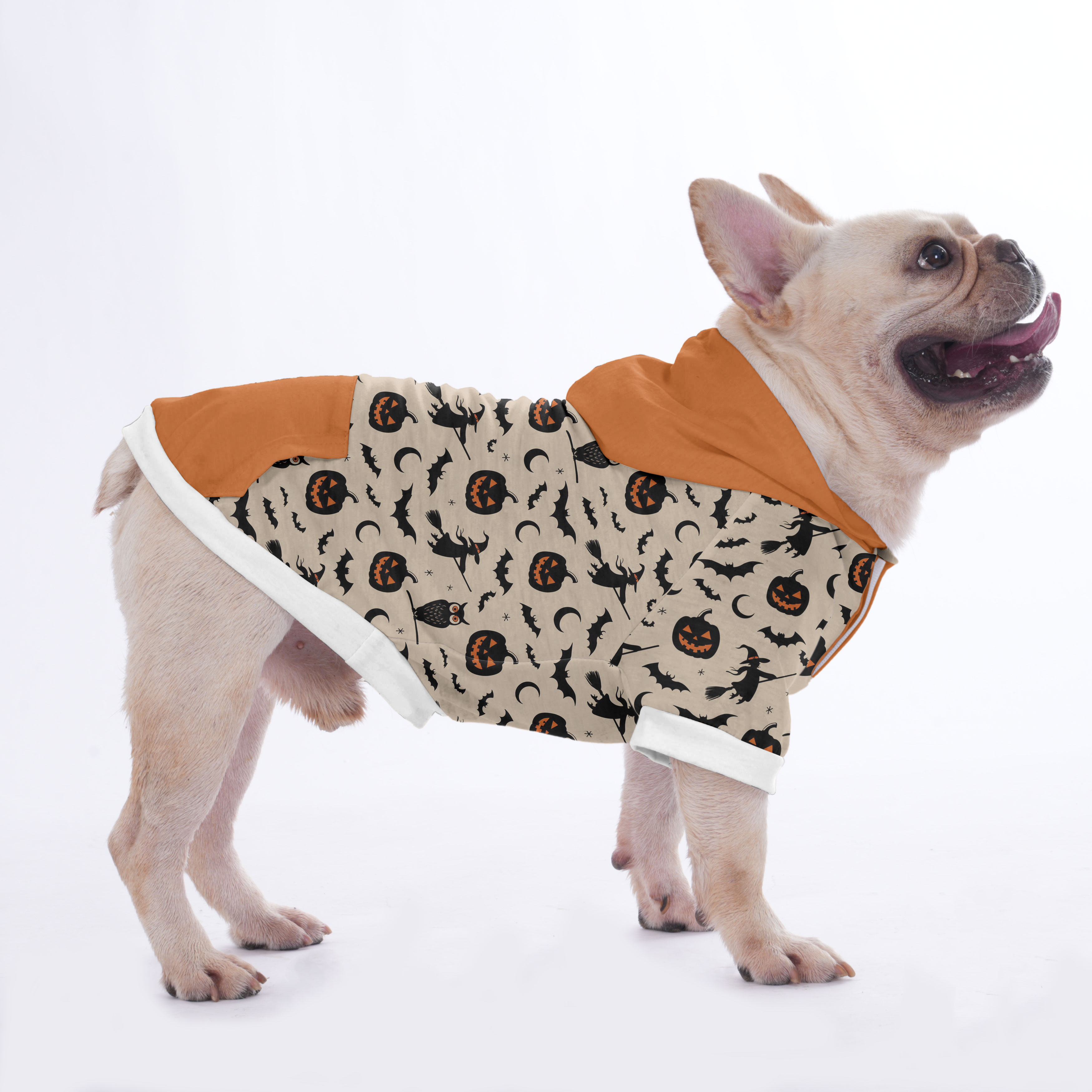 Stew French Bulldog Fleece Hoodie for Training Sessions-fadou