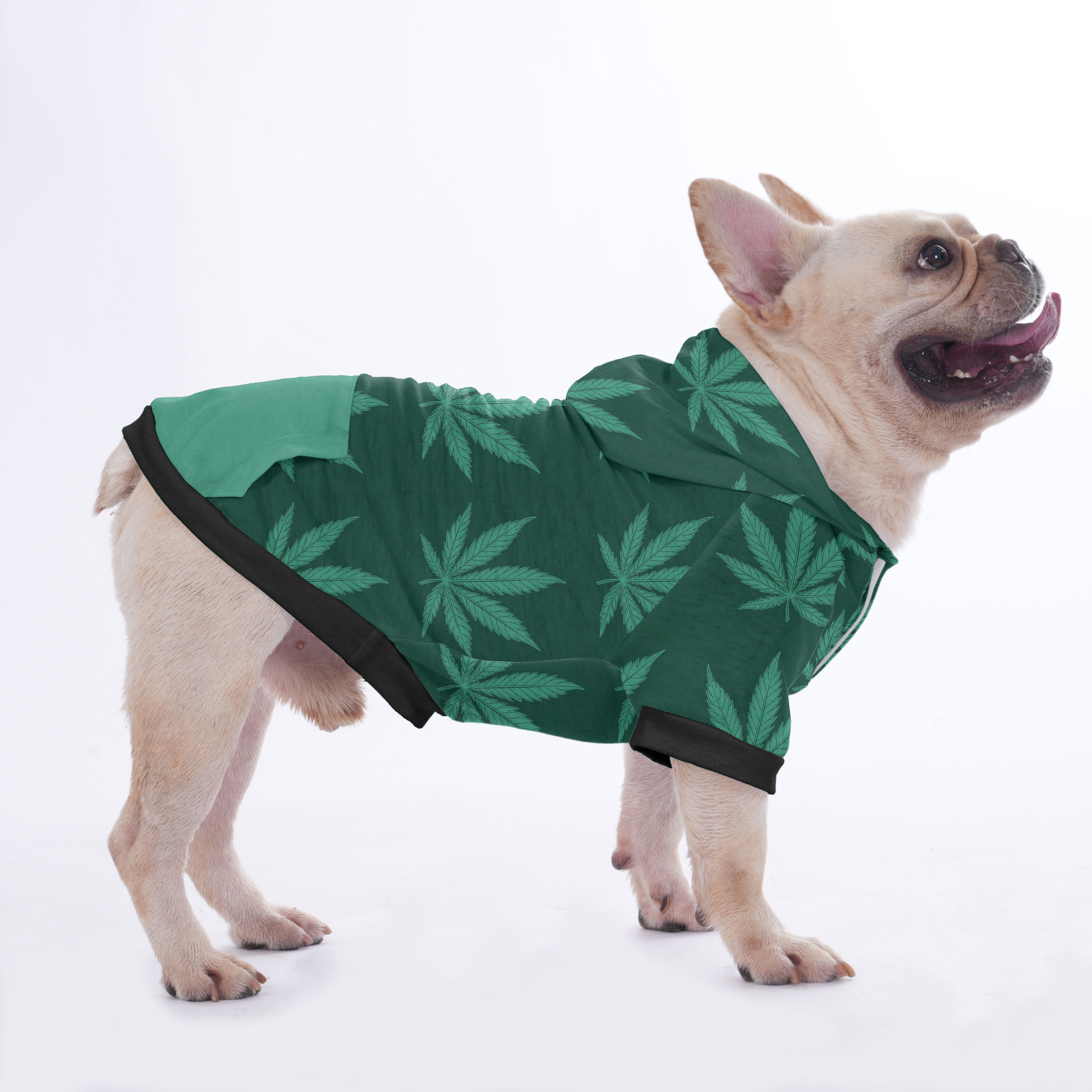 Toby French Bulldog Fleece Hoodie for Training Sessions-fadou