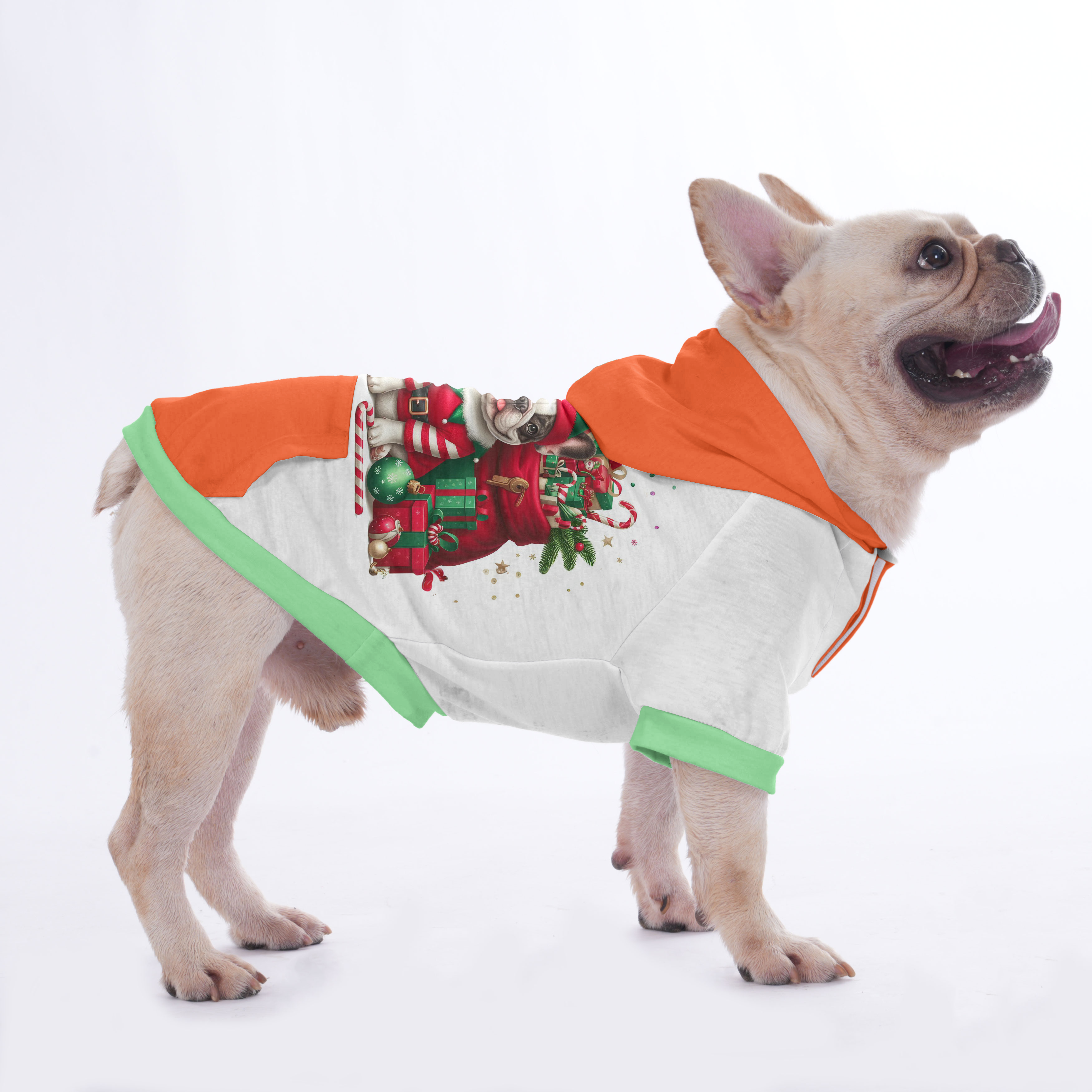 Harper French Bulldog Pet Sweatshirt for Outdoor Adventures-fadou