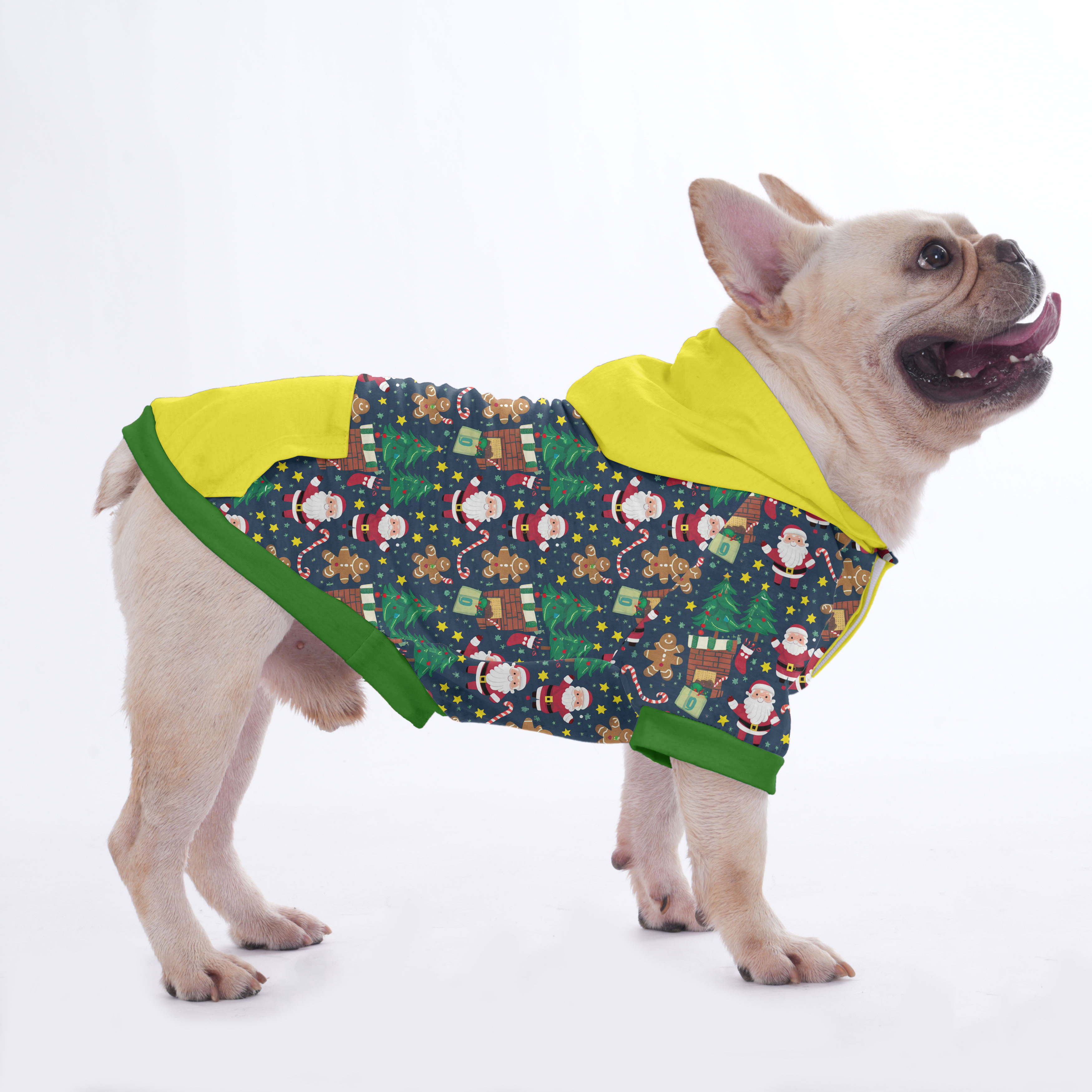 Paquito French Bulldog Pet Sweatshirt for Training Sessions-fadou