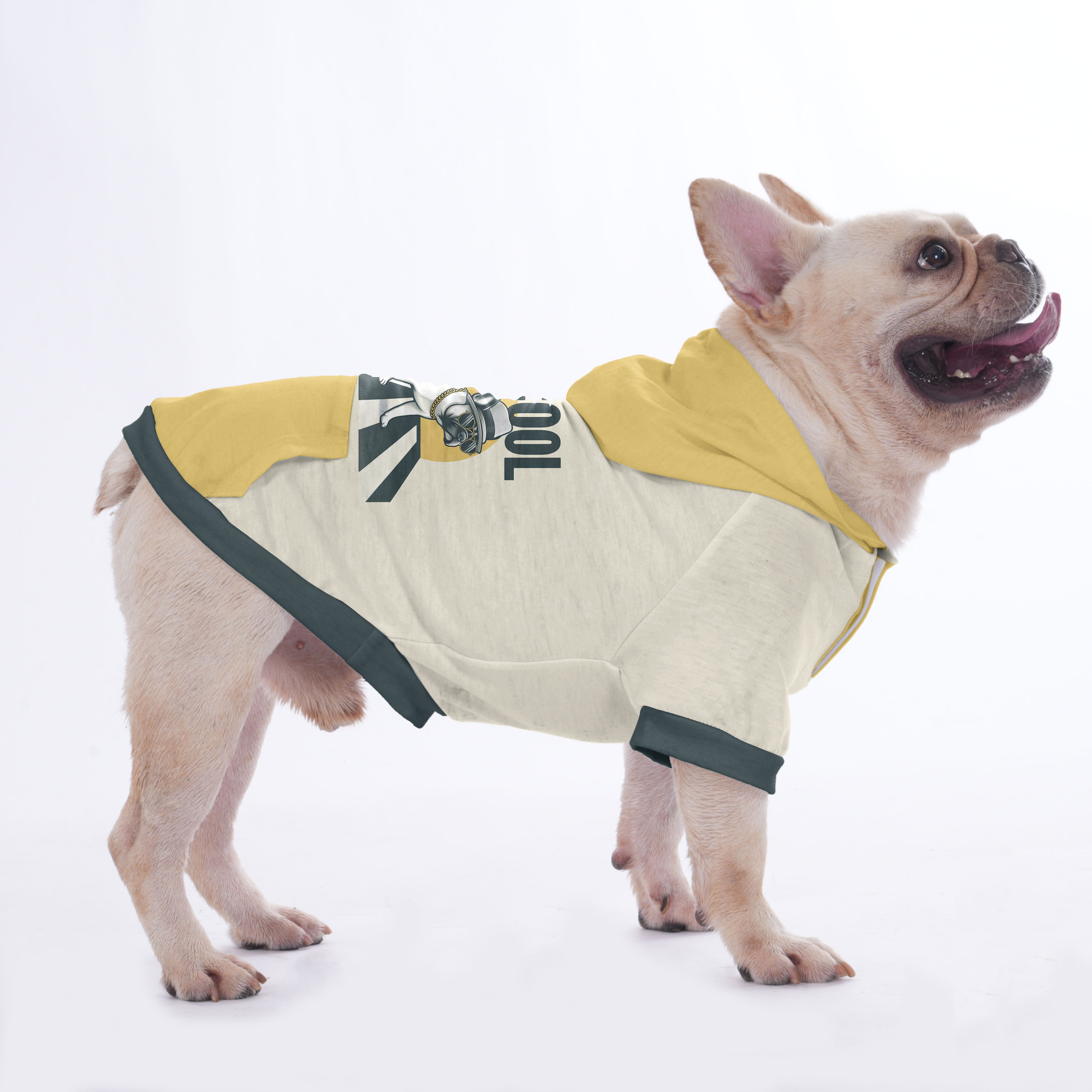 Shelby French Bulldog Fleece Hoodie for Outdoor Adventures-fadou