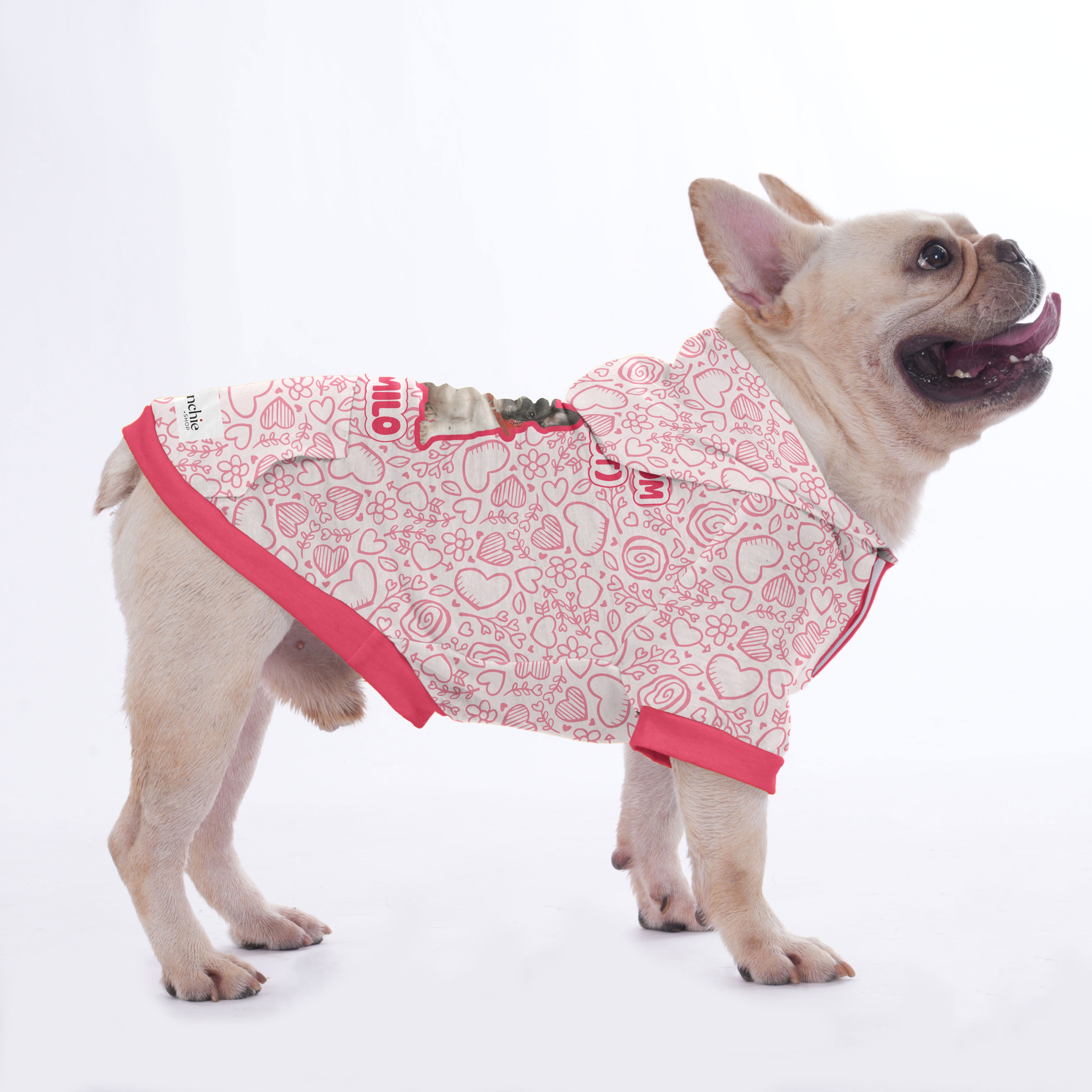 Personalized French Bulldog Hoodies Featuring for French Bulldogs-fadou