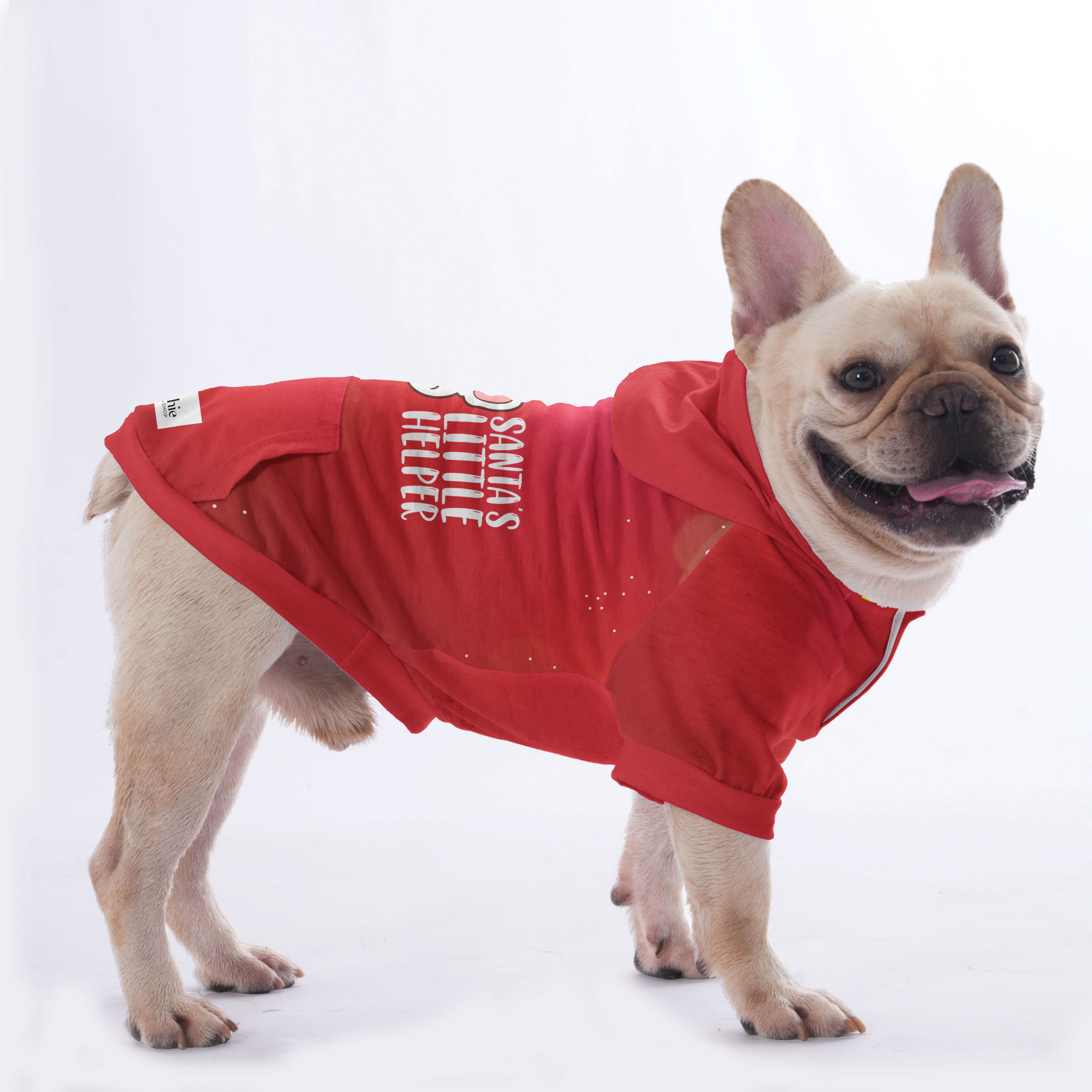 Blu French Bulldog Pet Sweatshirt for Outdoor Adventures-fadou