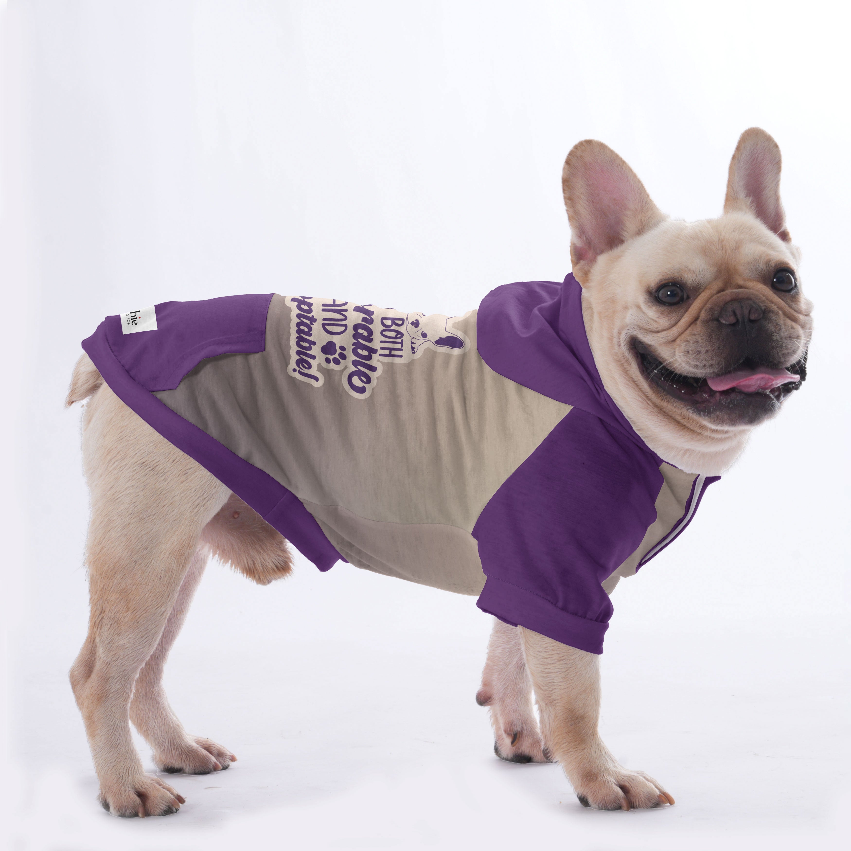 French Bulldog Adorable Pet Sweatshirt for Flat-Face Breeds-fadou