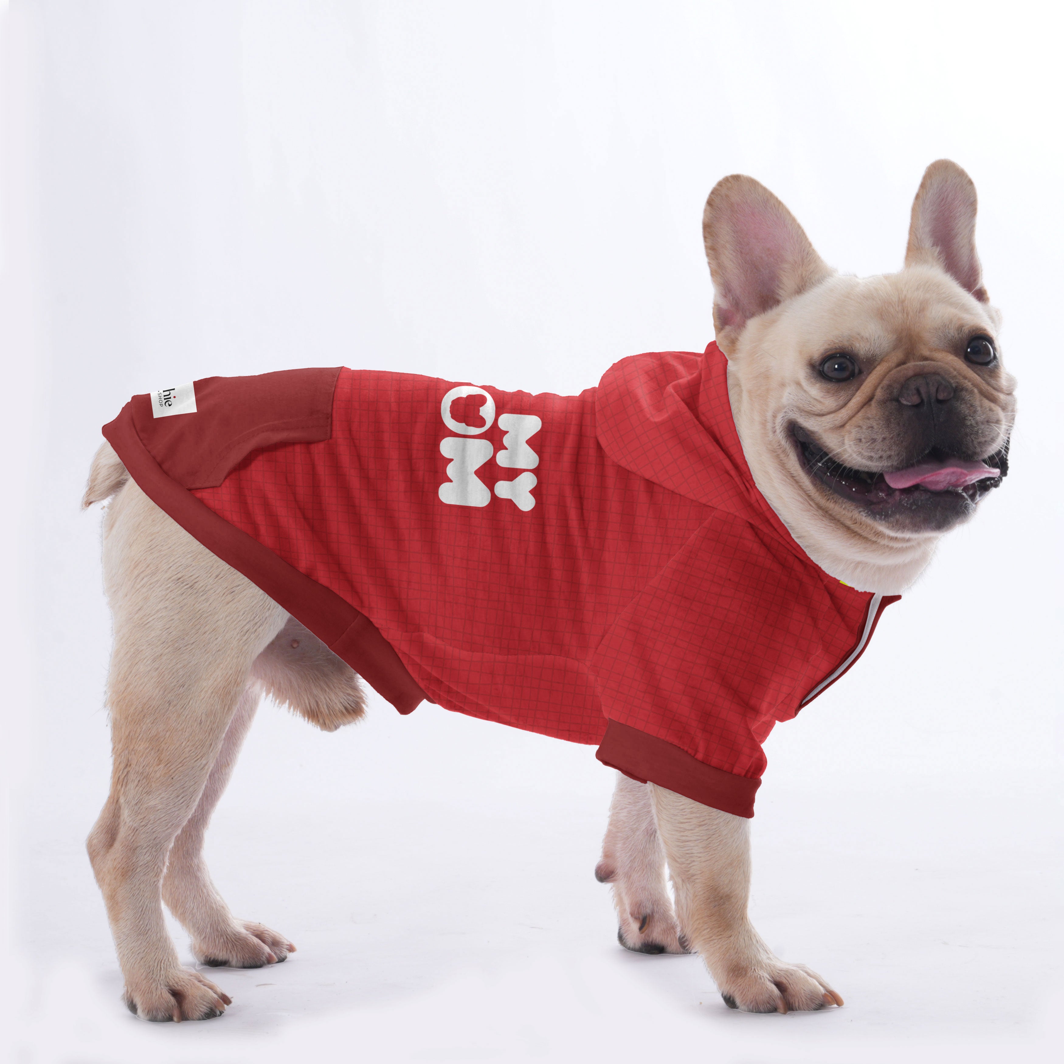 Dove French Bulldog Fleece Hoodie for Training Sessions-fadou
