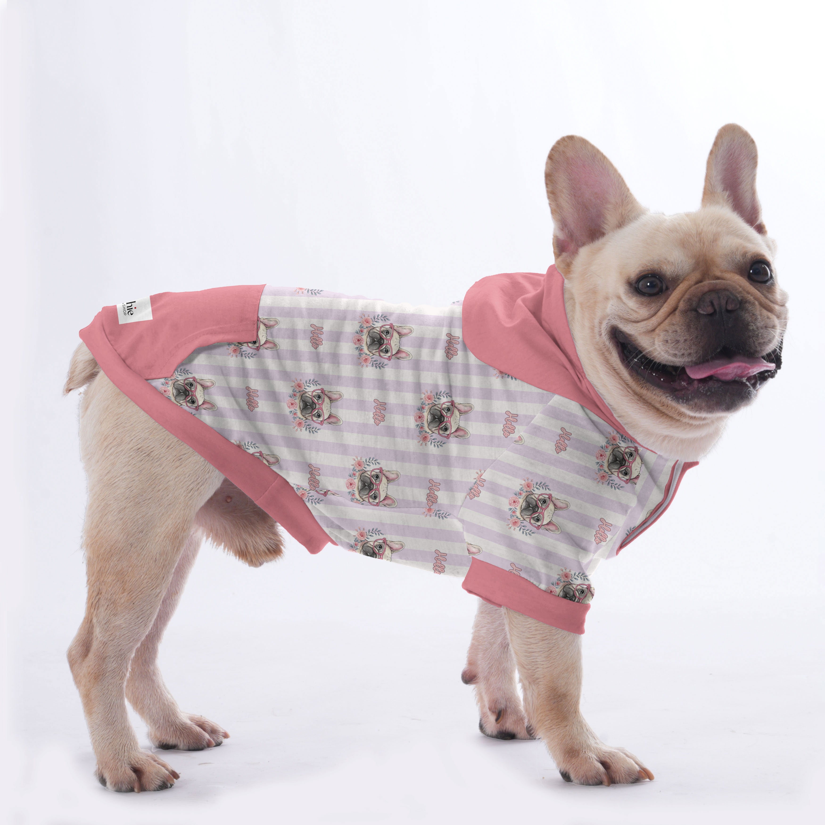 Chowder French Bulldog Pet Sweatshirt for Outdoor Adventures-fadou