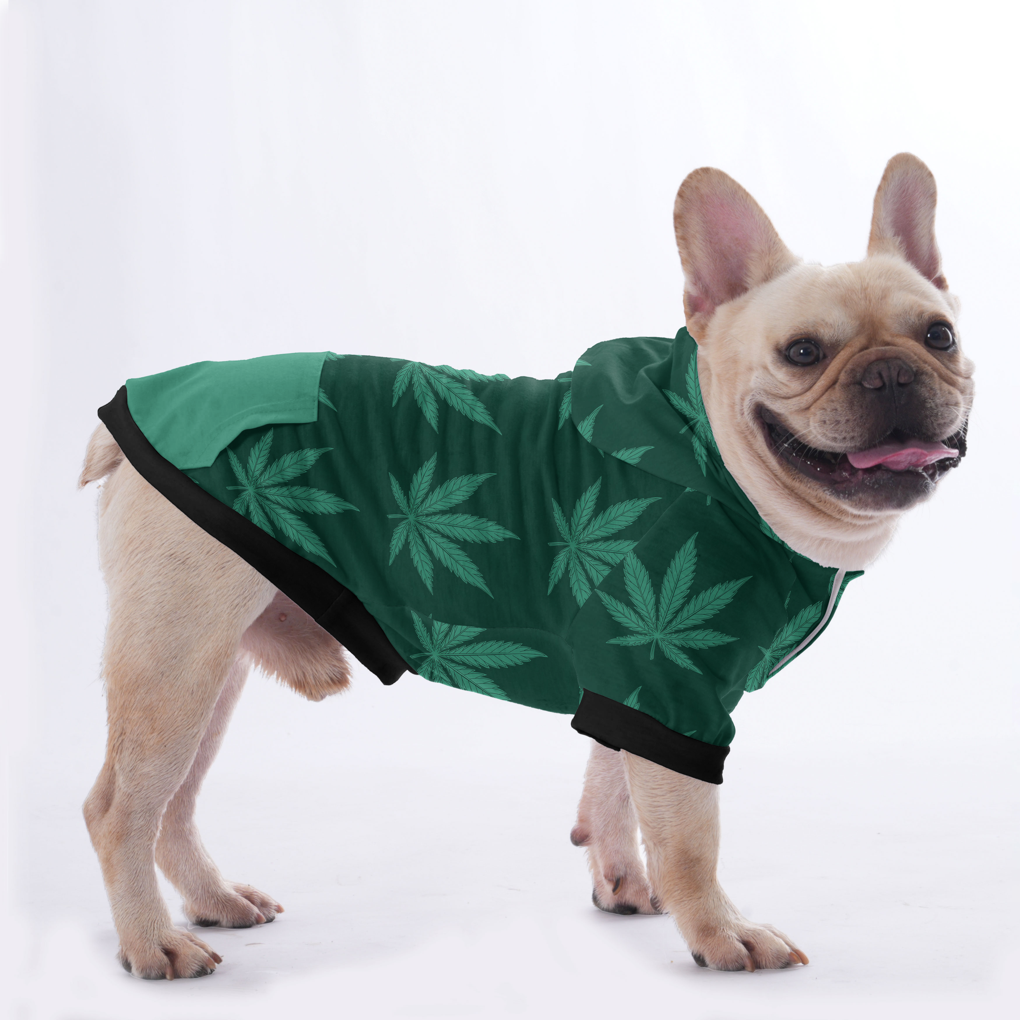 Toby French Bulldog Fleece Hoodie for Training Sessions-fadou