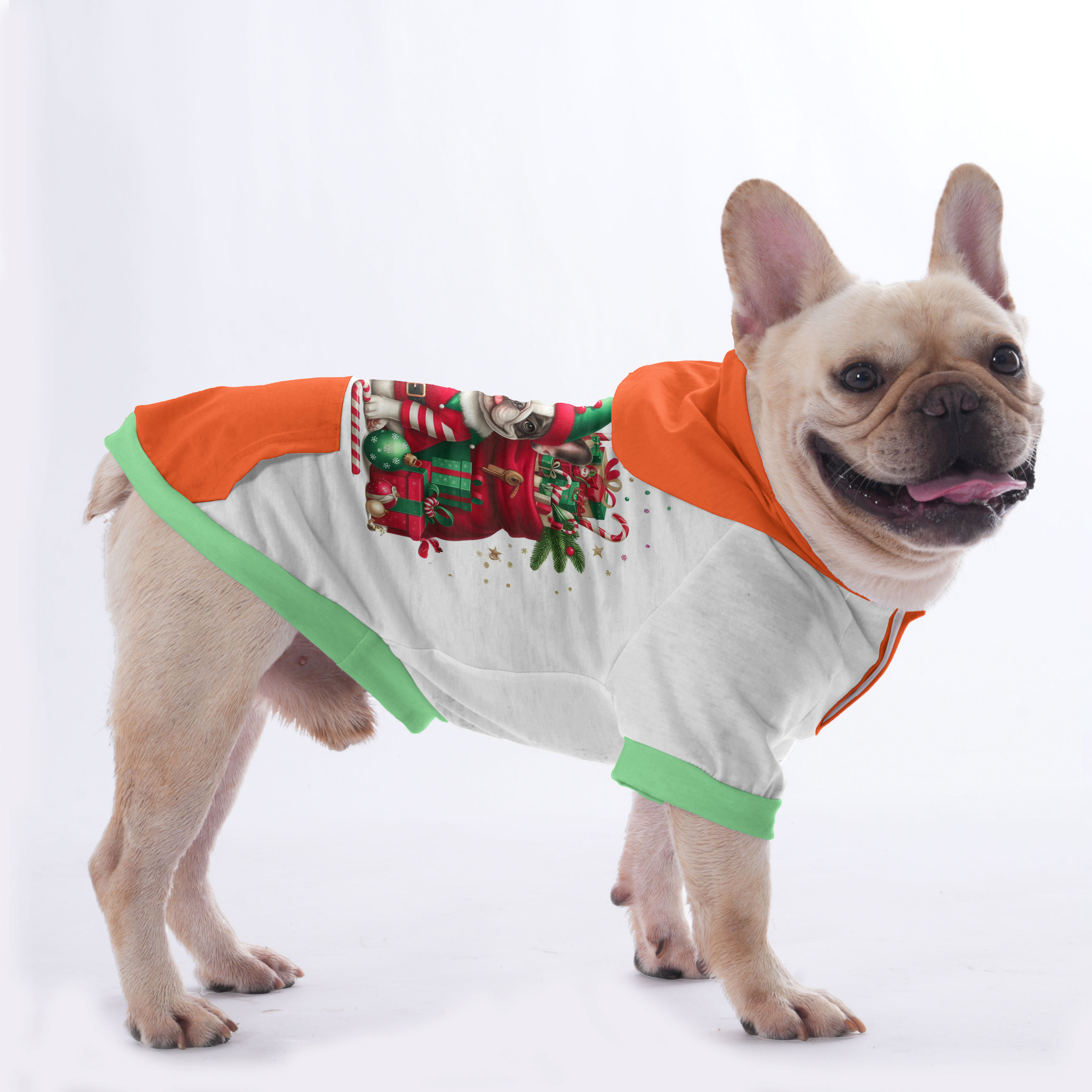 Harper French Bulldog Pet Sweatshirt for Outdoor Adventures-fadou