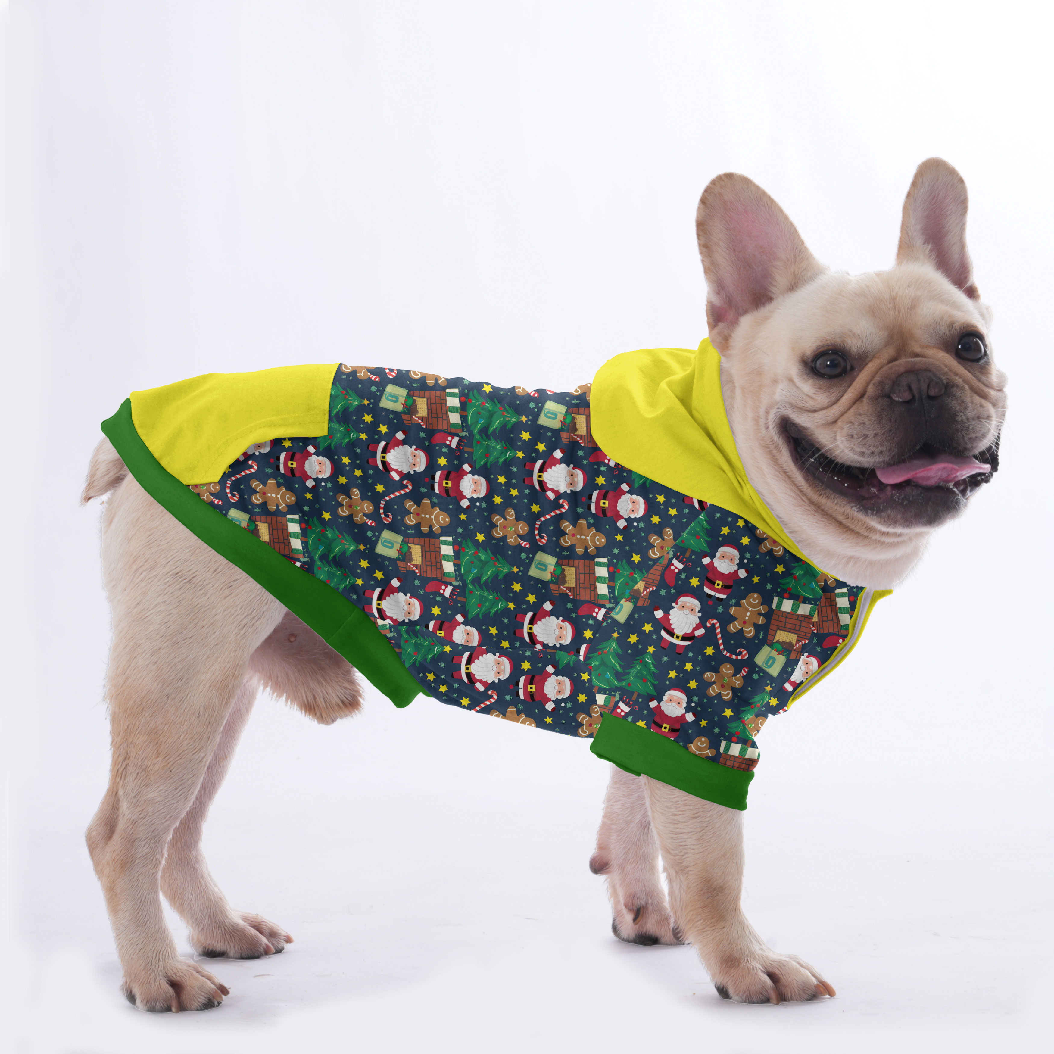 Paquito French Bulldog Pet Sweatshirt for Training Sessions-fadou