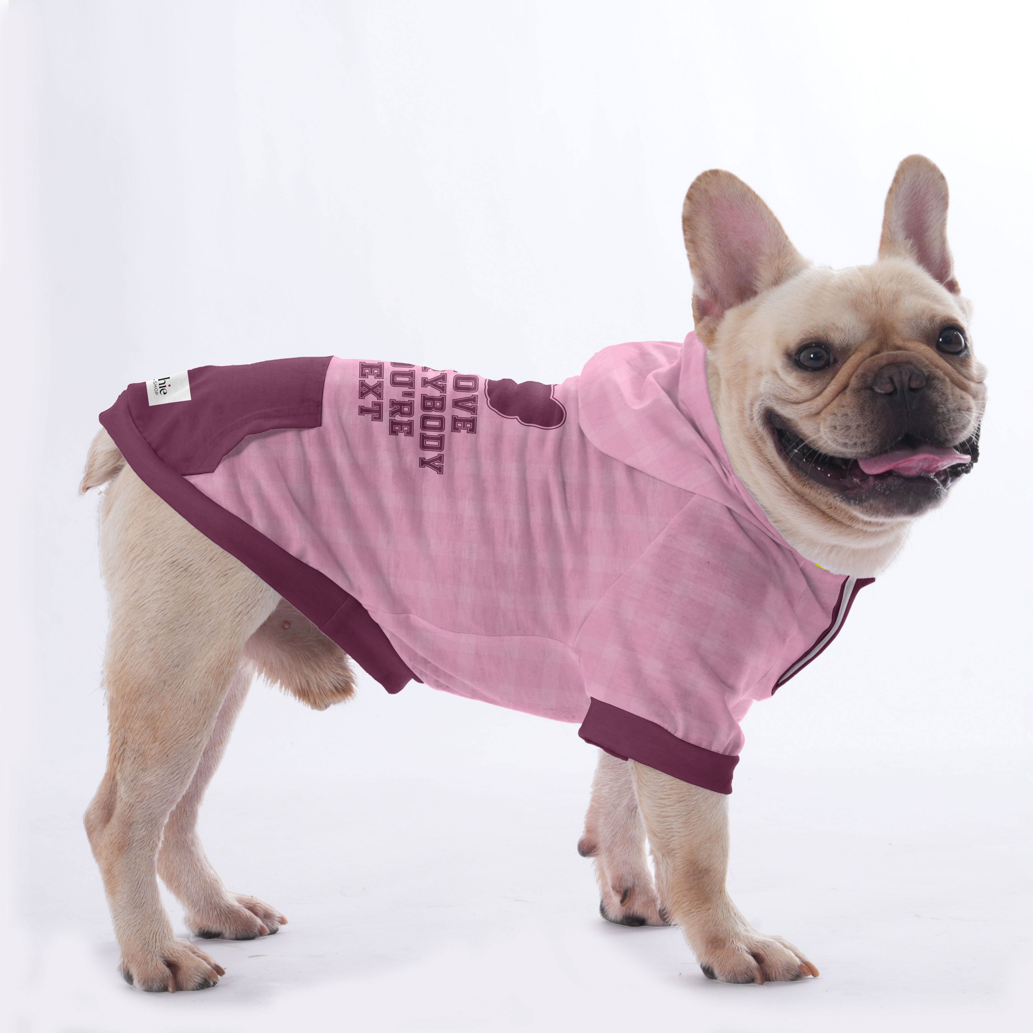 Ames French Bulldog Pet Sweatshirt for Short-Nosed Dogs-fadou