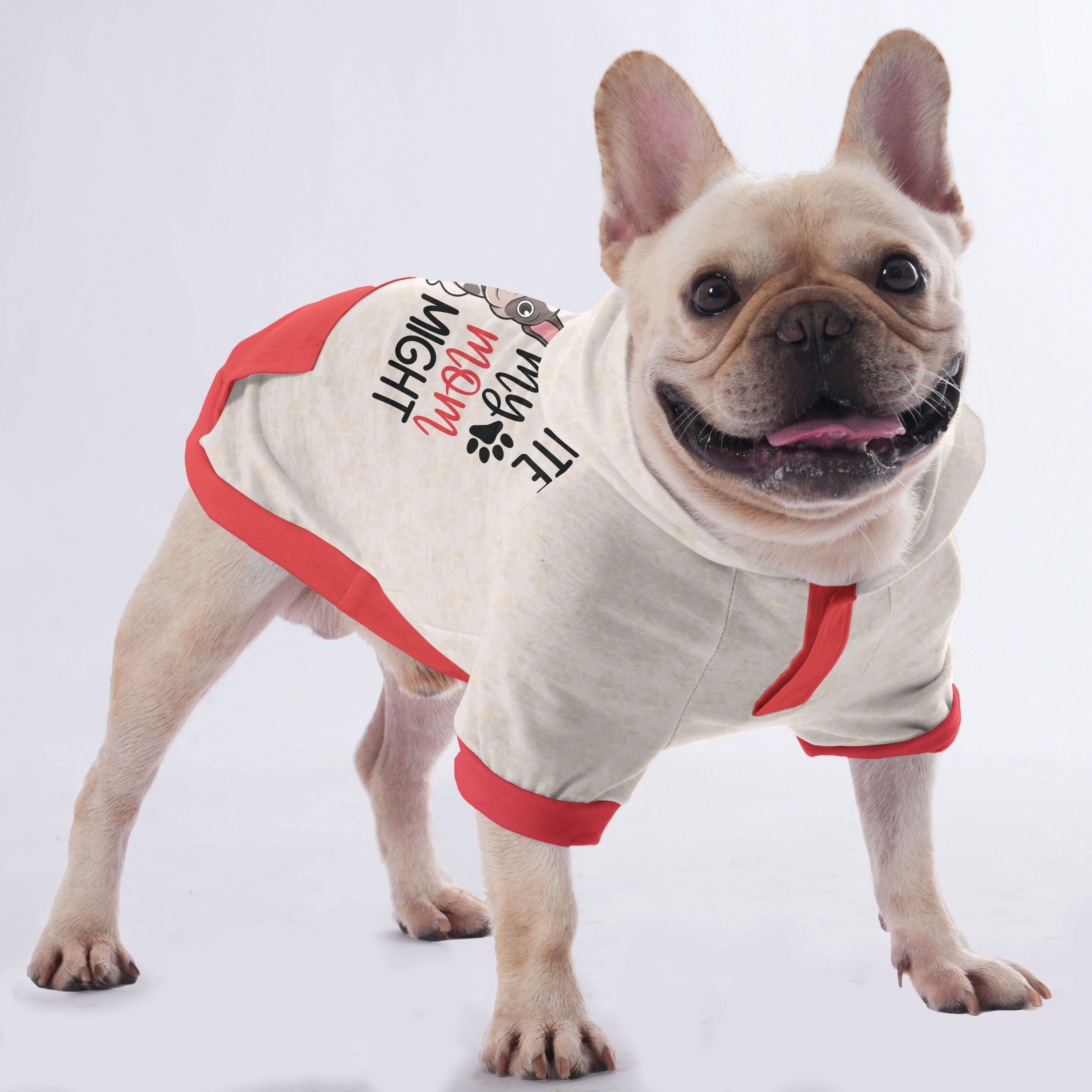 Desire French Bulldog Pet Sweatshirt for Travel Comfort-fadou
