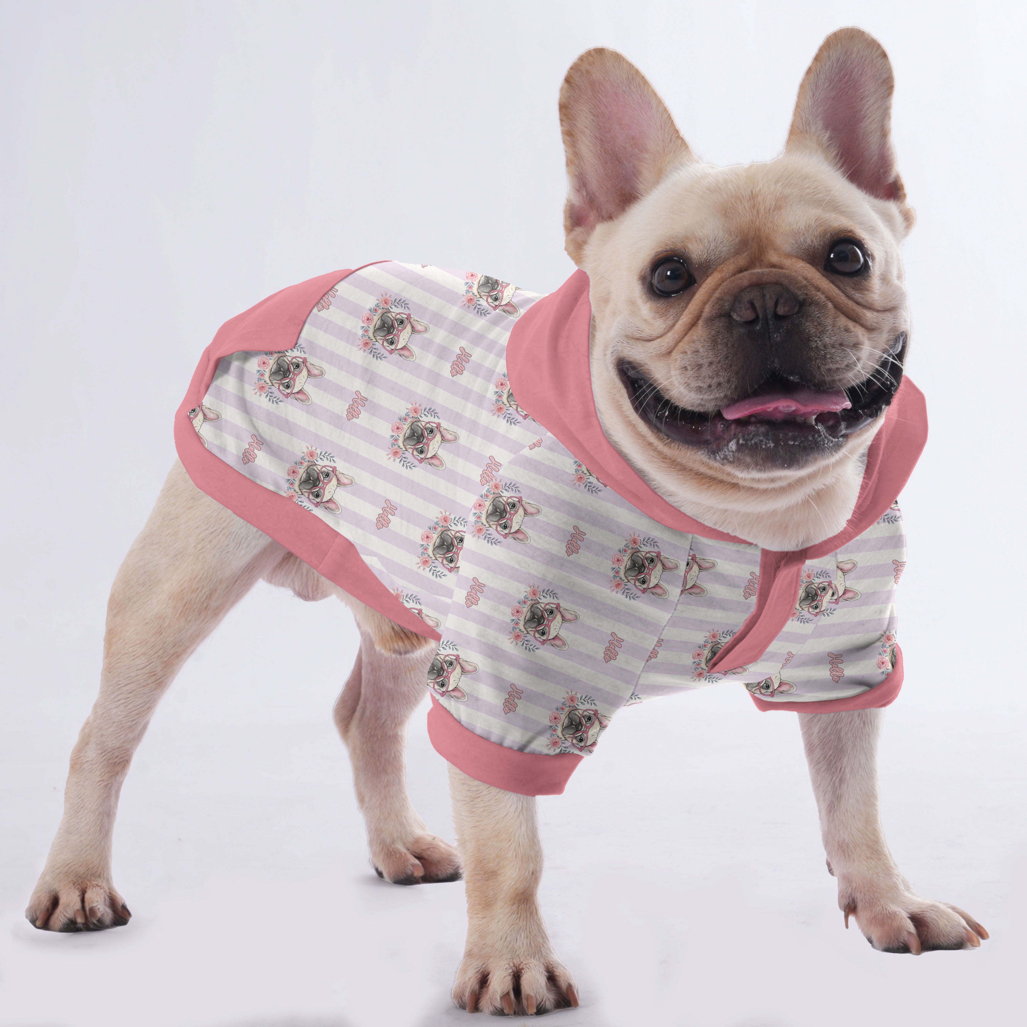 Chowder French Bulldog Pet Sweatshirt for Outdoor Adventures-fadou