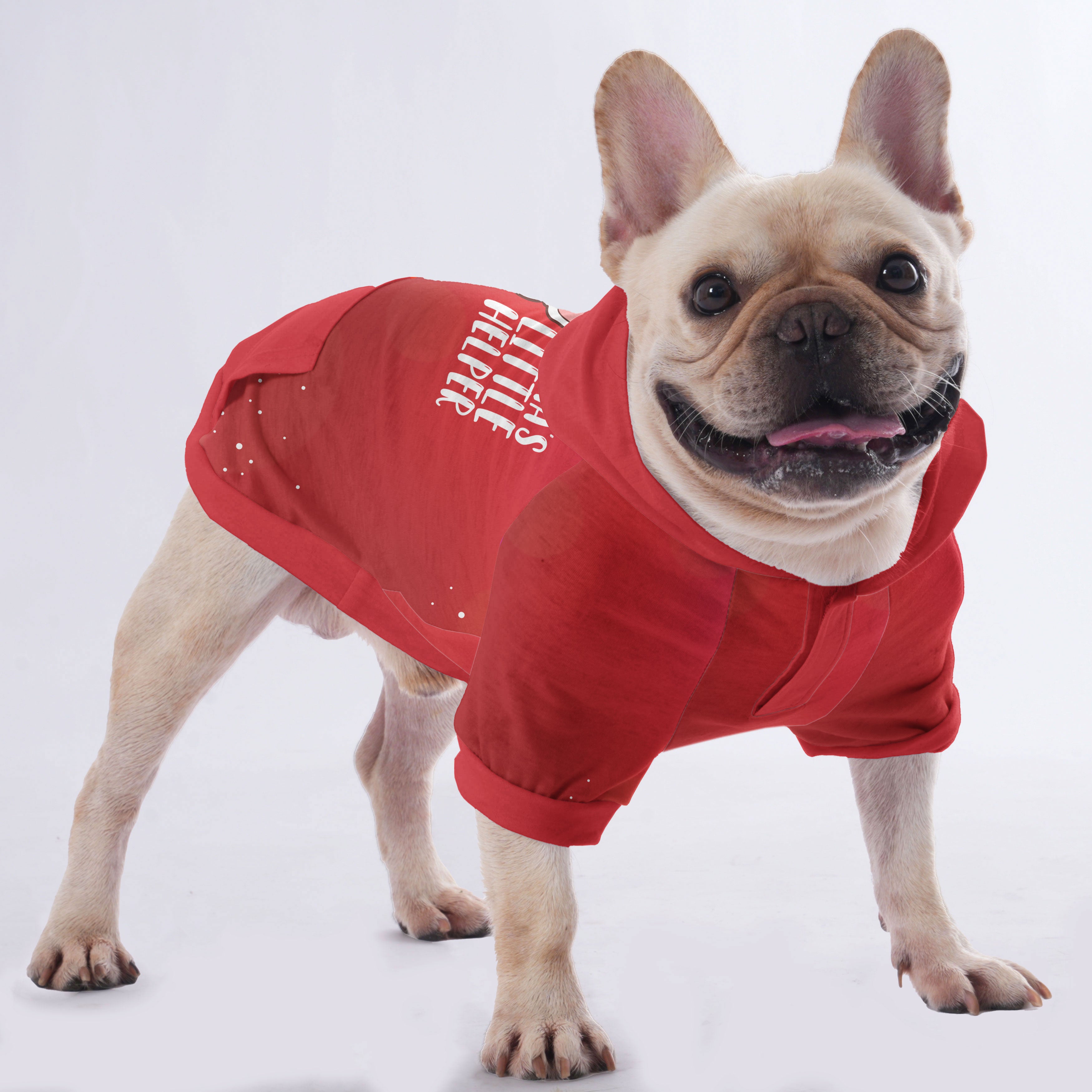 Blu French Bulldog Pet Sweatshirt for Outdoor Adventures-fadou