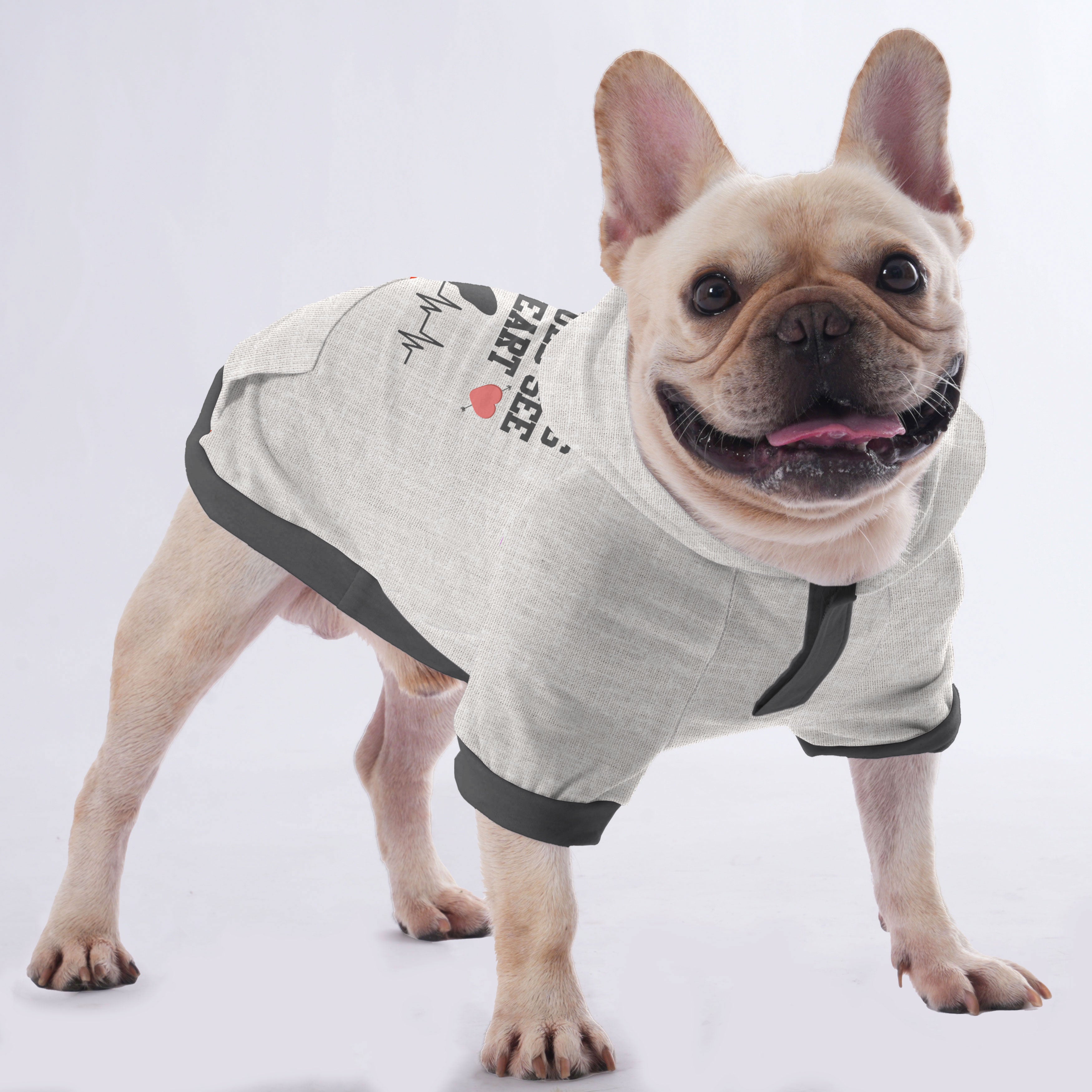 French Bulldog Custom Pet Sweatshirt for Training Sessions-fadou