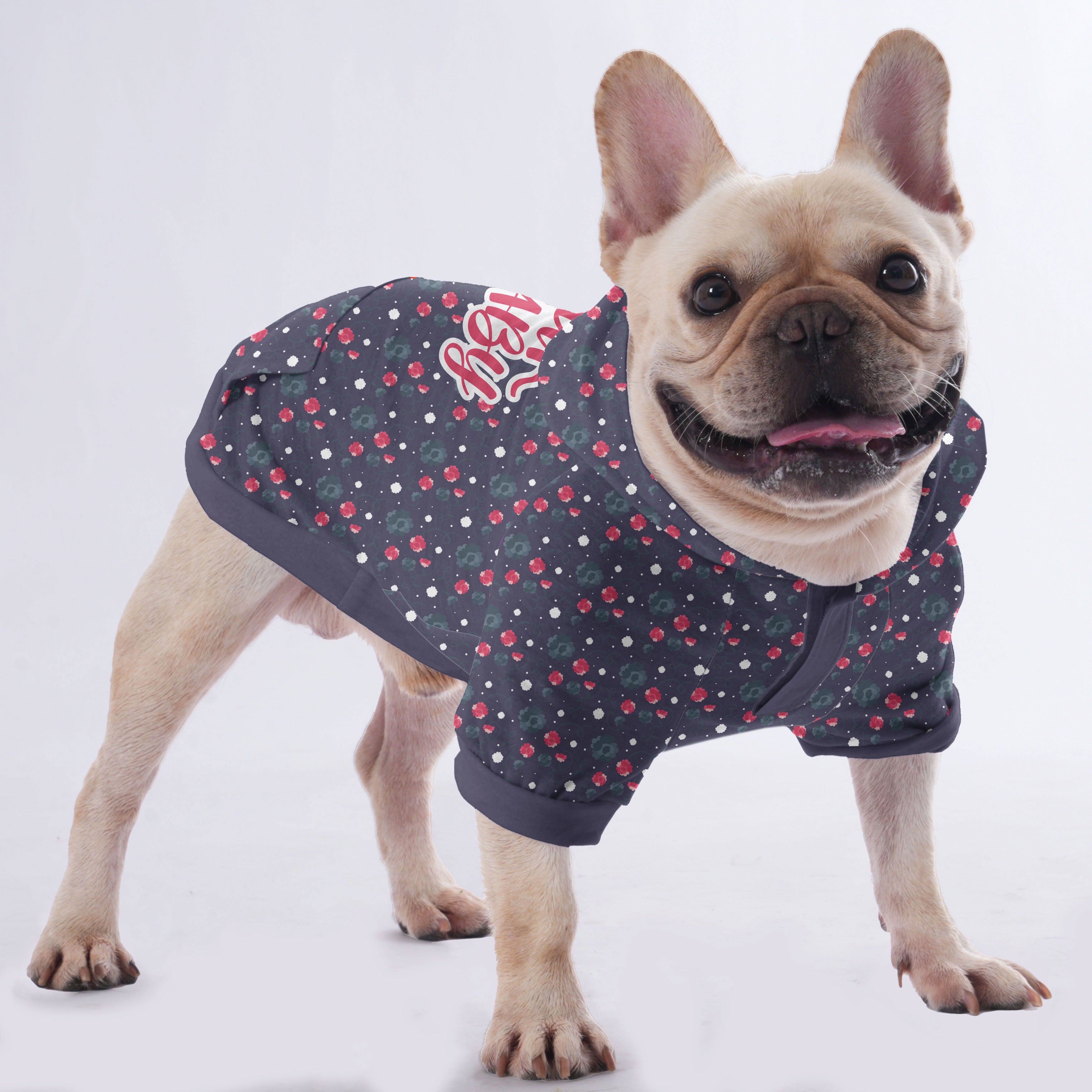 Fur French Bulldog Pet Sweatshirt for Training Sessions-fadou