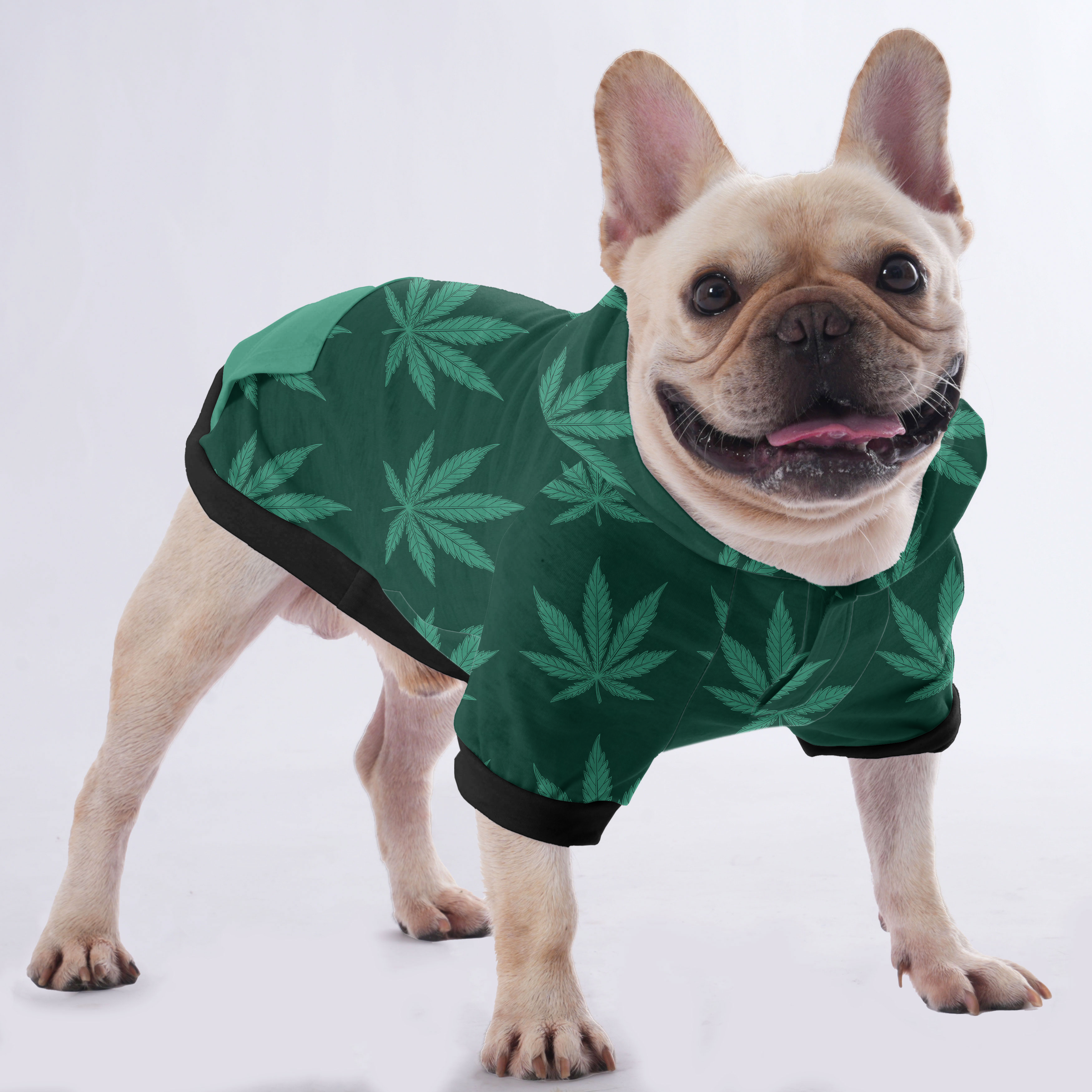 Toby French Bulldog Fleece Hoodie for Training Sessions-fadou