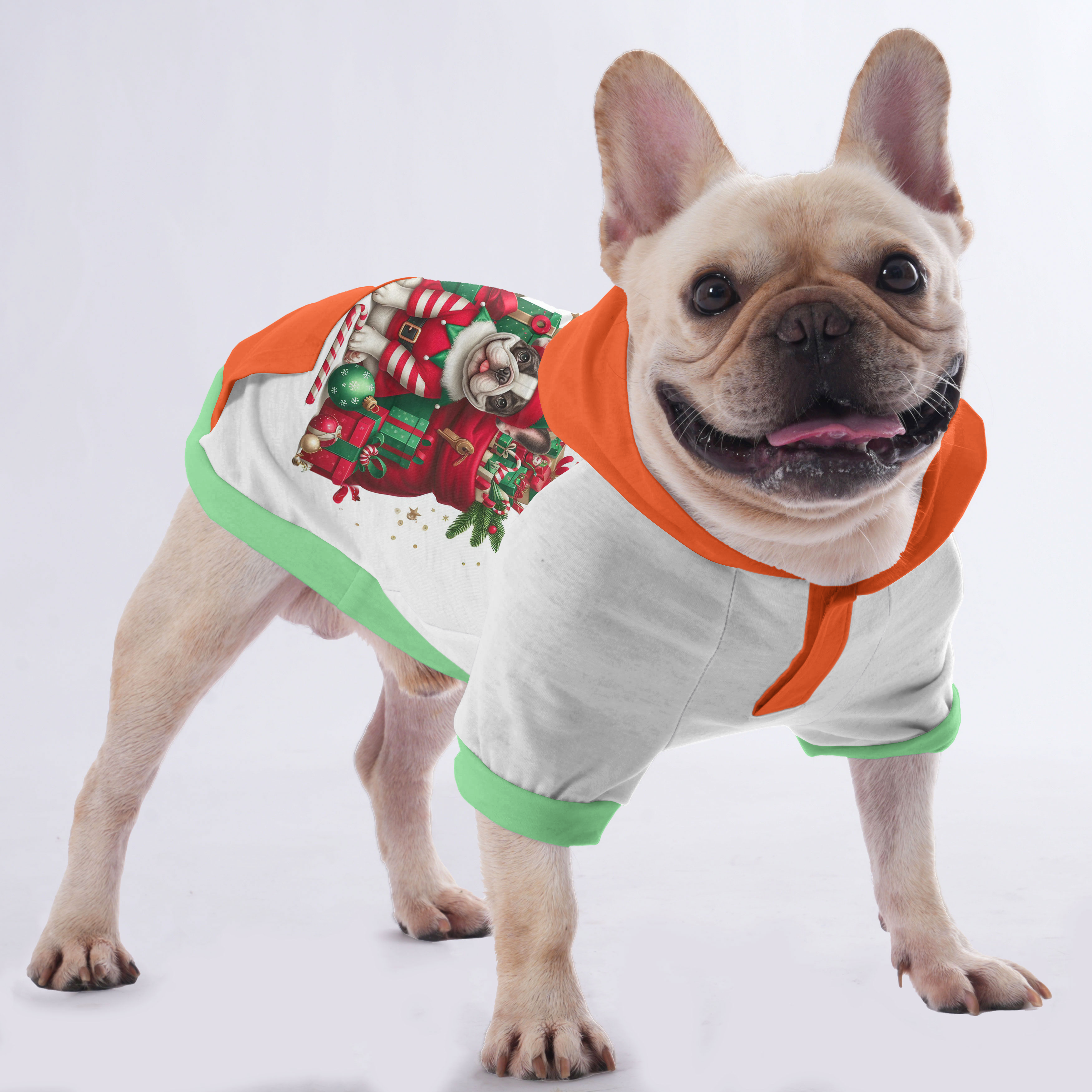 Harper French Bulldog Pet Sweatshirt for Outdoor Adventures-fadou