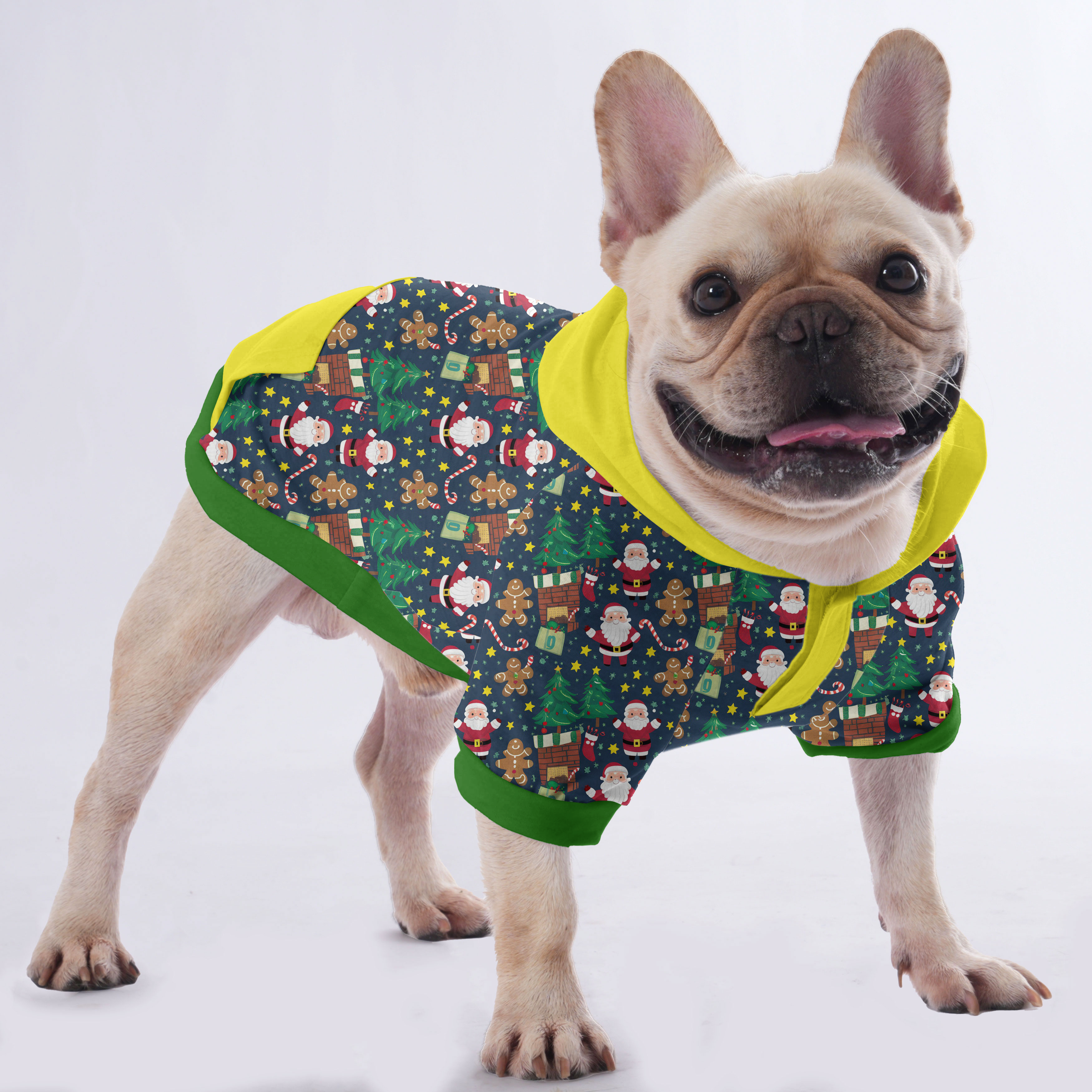 Paquito French Bulldog Pet Sweatshirt for Training Sessions-fadou