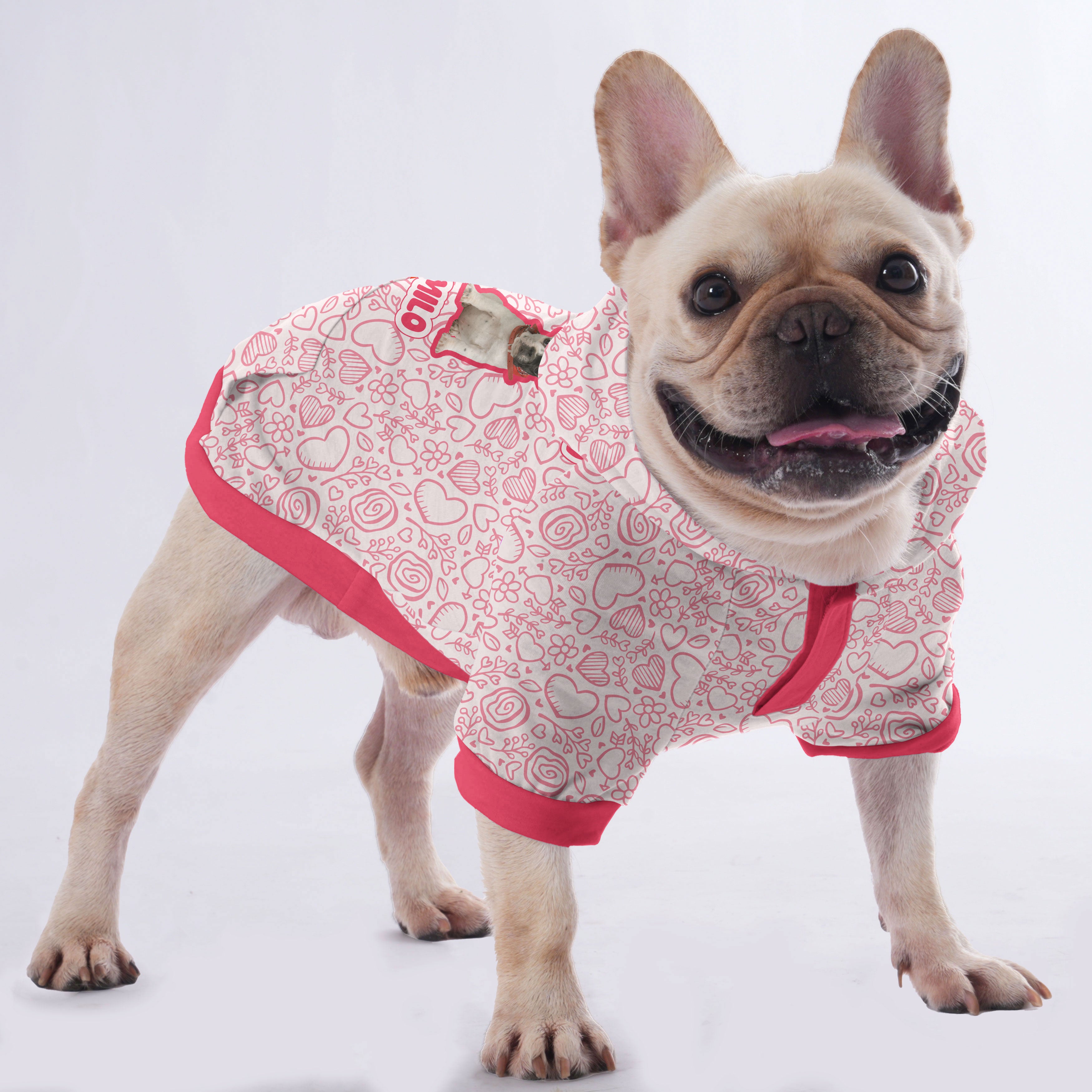 Personalized French Bulldog Hoodies Featuring for French Bulldogs-fadou