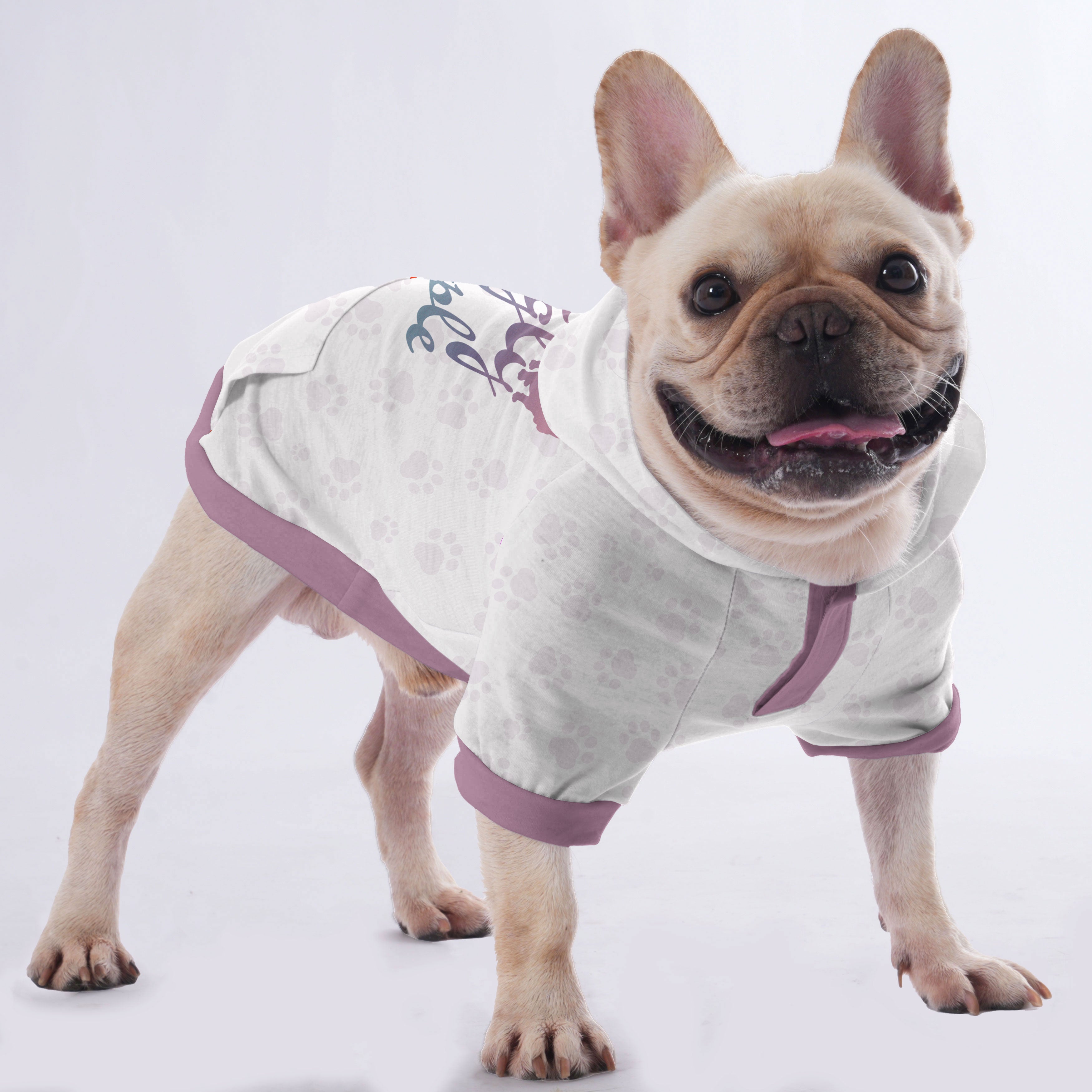 I Bark at Ugly People - Hoodies for French for French Bulldogs-fadou