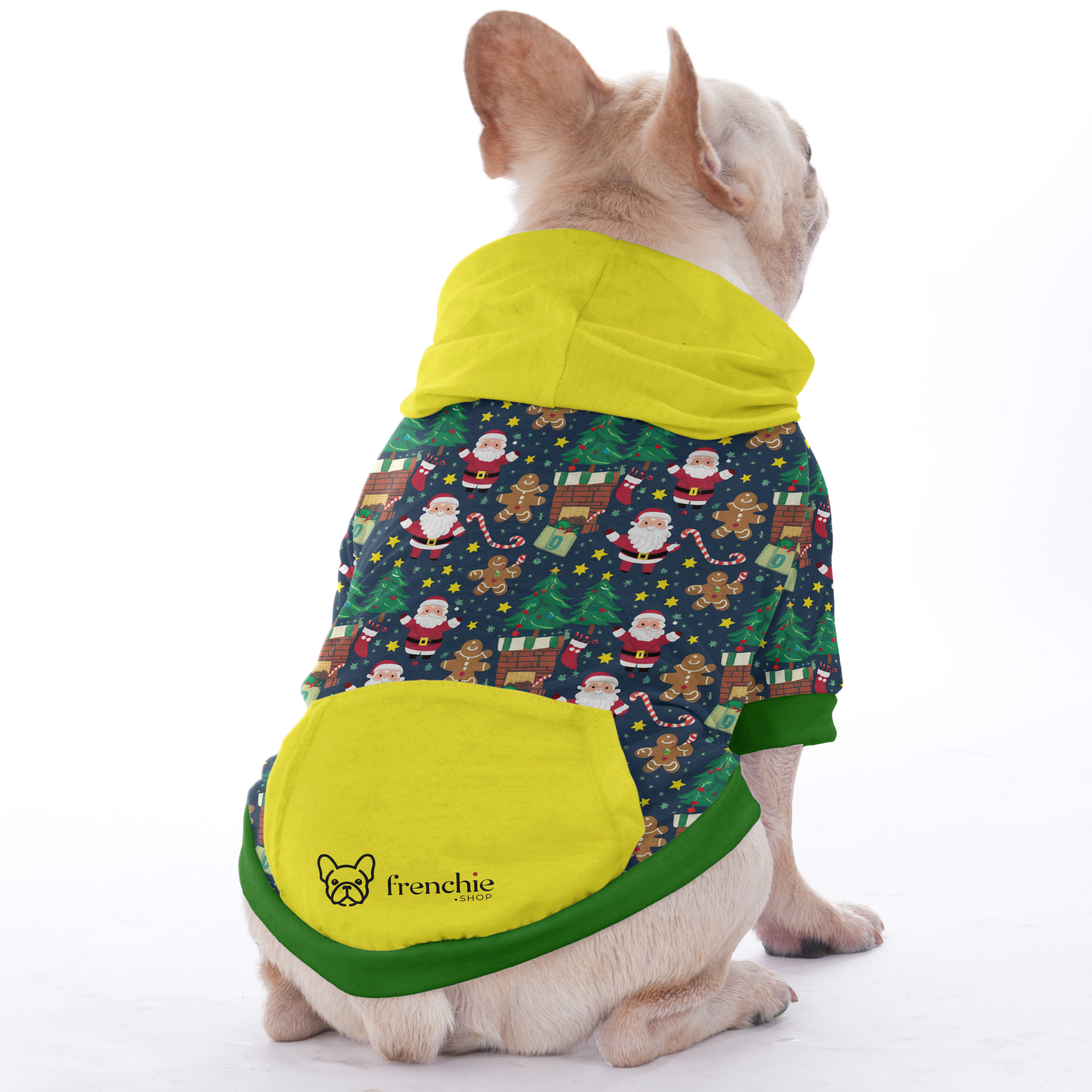 Paquito French Bulldog Pet Sweatshirt for Training Sessions-fadou