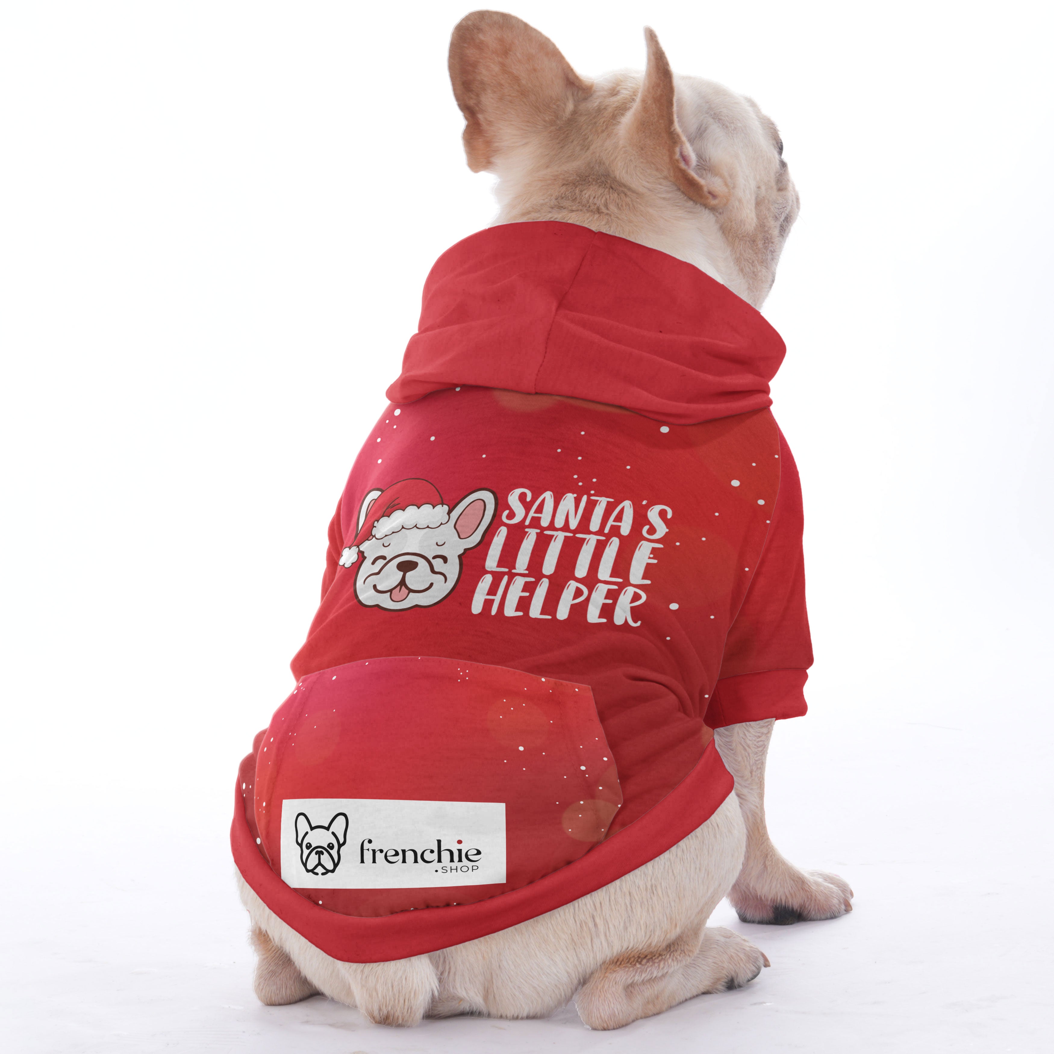 Blu French Bulldog Pet Sweatshirt for Outdoor Adventures-fadou