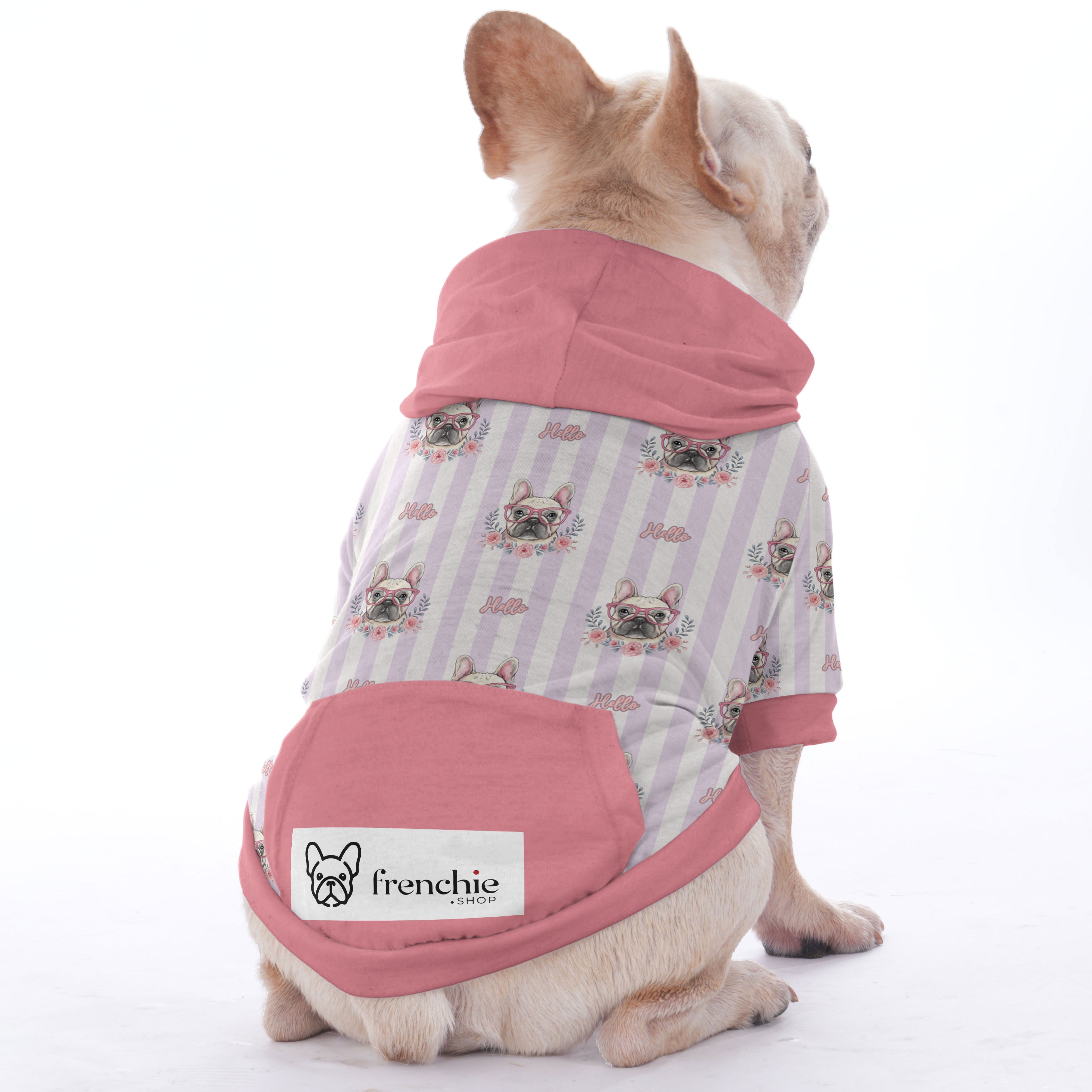 Chowder French Bulldog Pet Sweatshirt for Outdoor Adventures-fadou