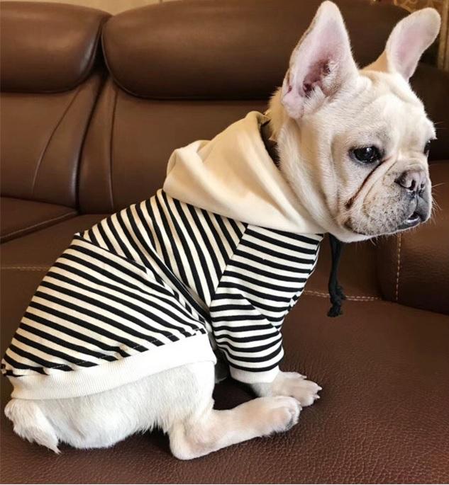 Matching French Bulldog Fleece Hoodie for Bulldog Owners-fadou