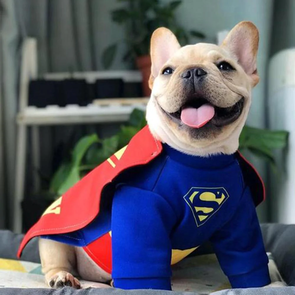French Bulldog SuperFrenchie Cosplay Clothes for Outdoor Adventures-fadou
