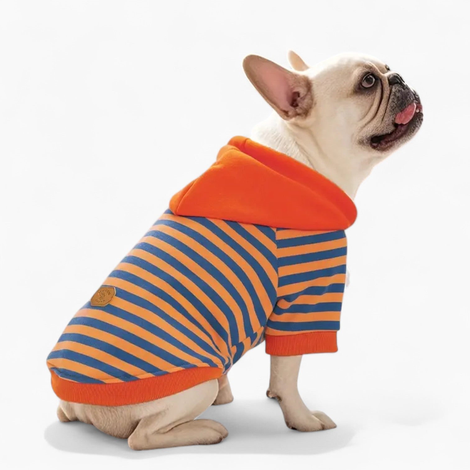 French Bulldog Leather Pet Sweatshirt for Flat-Face Breeds-fadou