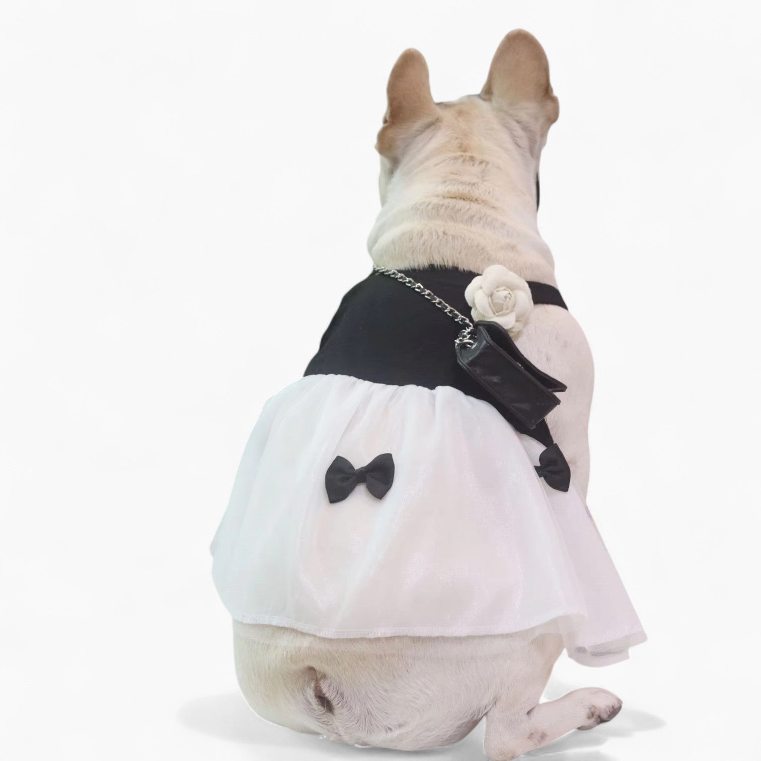 DresiPup French Bulldog Pet Dress for Training Sessions-fadou