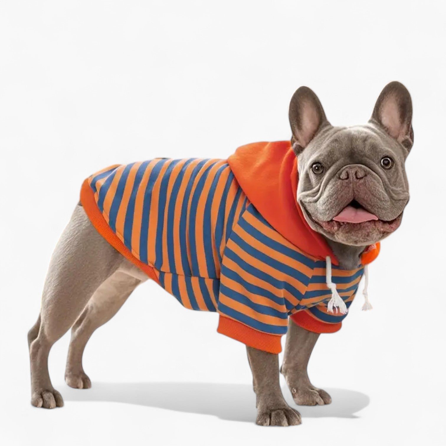 French Bulldog Leather Pet Sweatshirt for Flat-Face Breeds-fadou