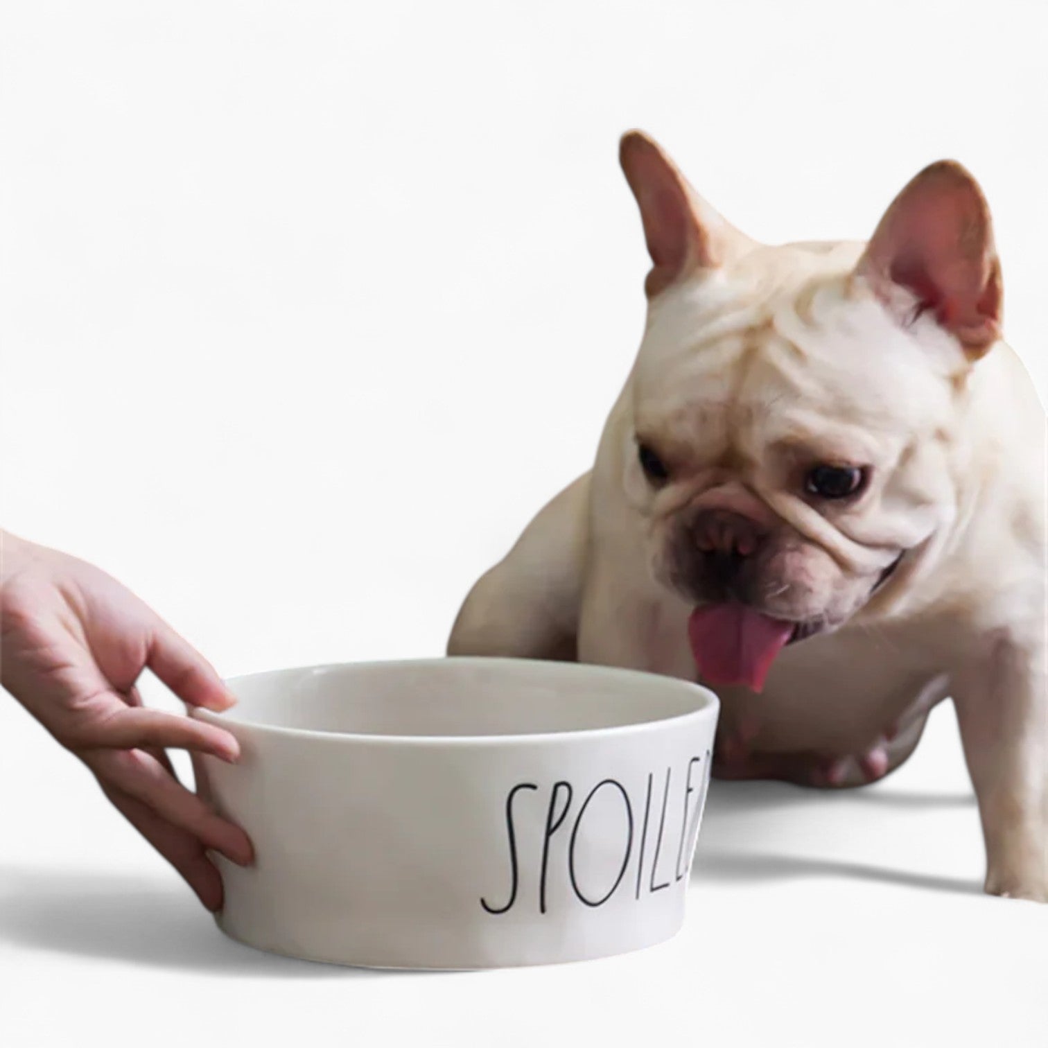 French Bulldog Ceramic Feeding Bowl for Short-Nosed Dogs-fadou