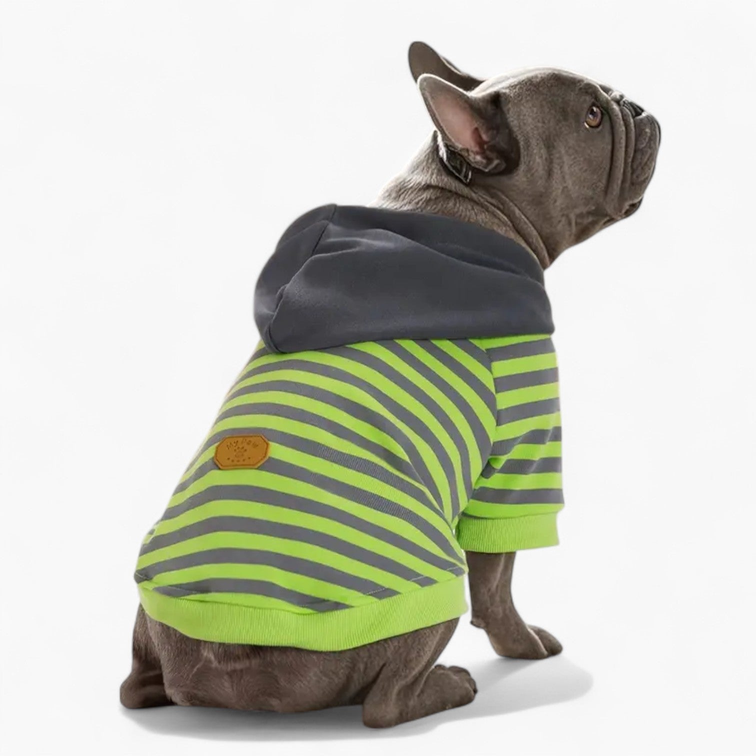 French Bulldog Leather Pet Sweatshirt for Flat-Face Breeds-fadou
