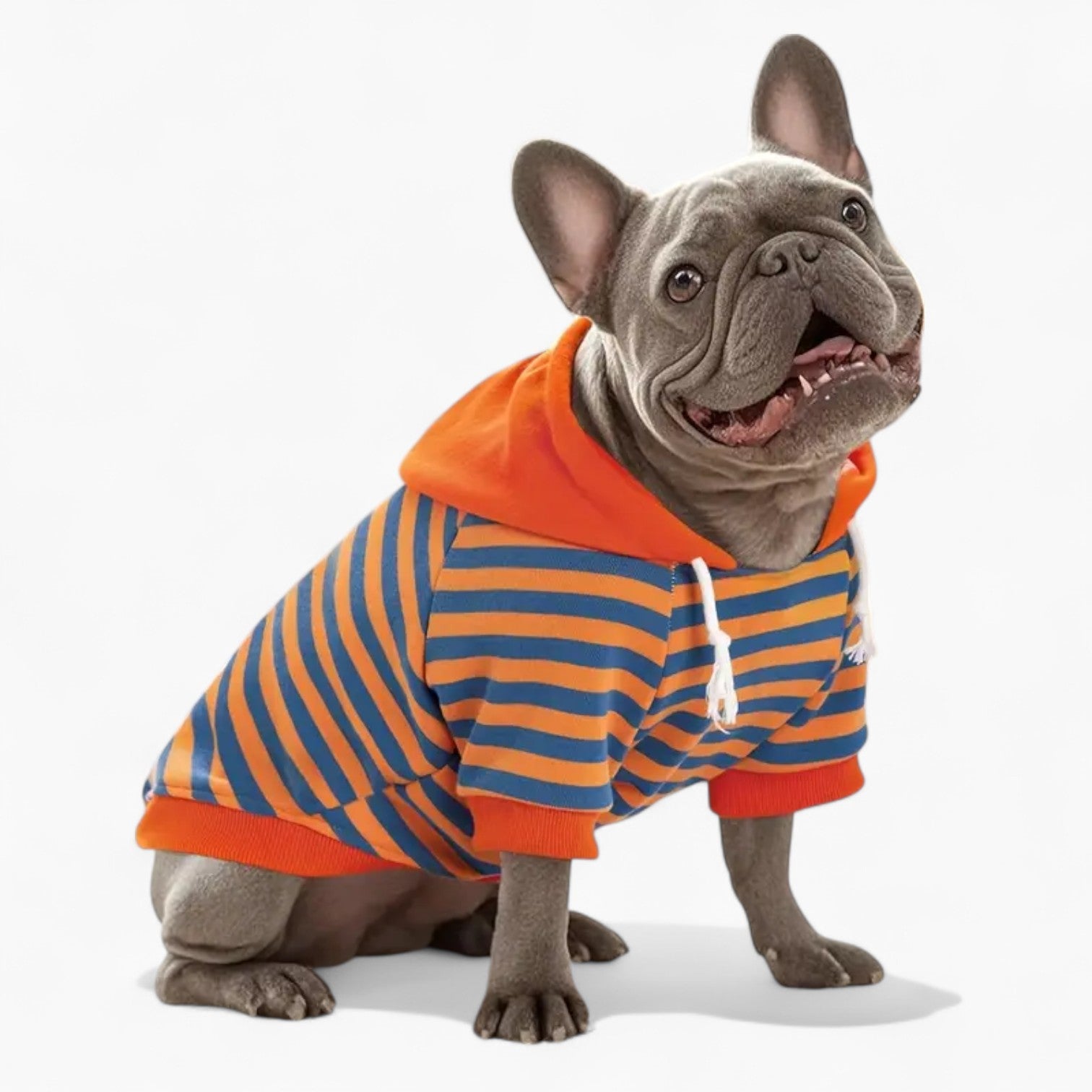 French Bulldog Leather Pet Sweatshirt for Flat-Face Breeds-fadou