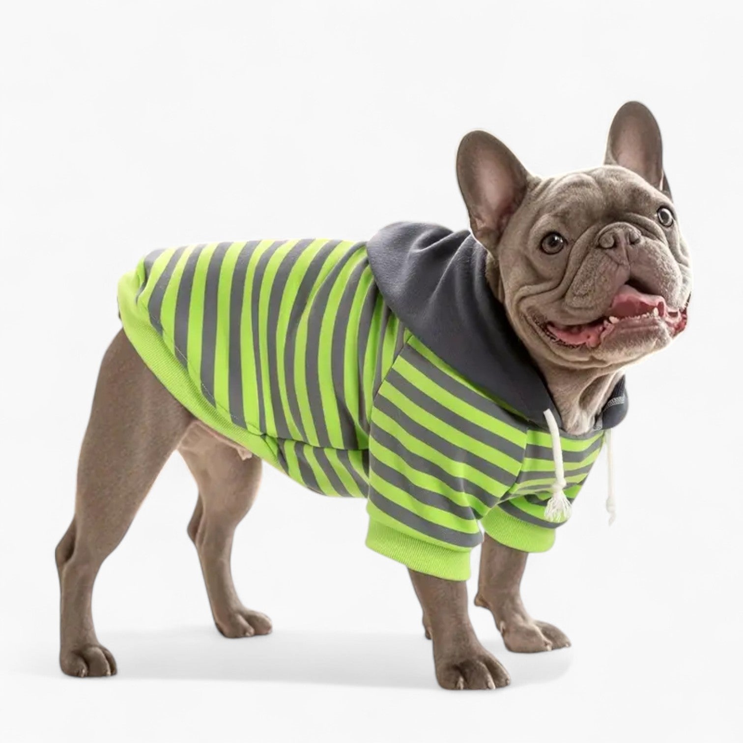 French Bulldog Leather Pet Sweatshirt for Flat-Face Breeds-fadou