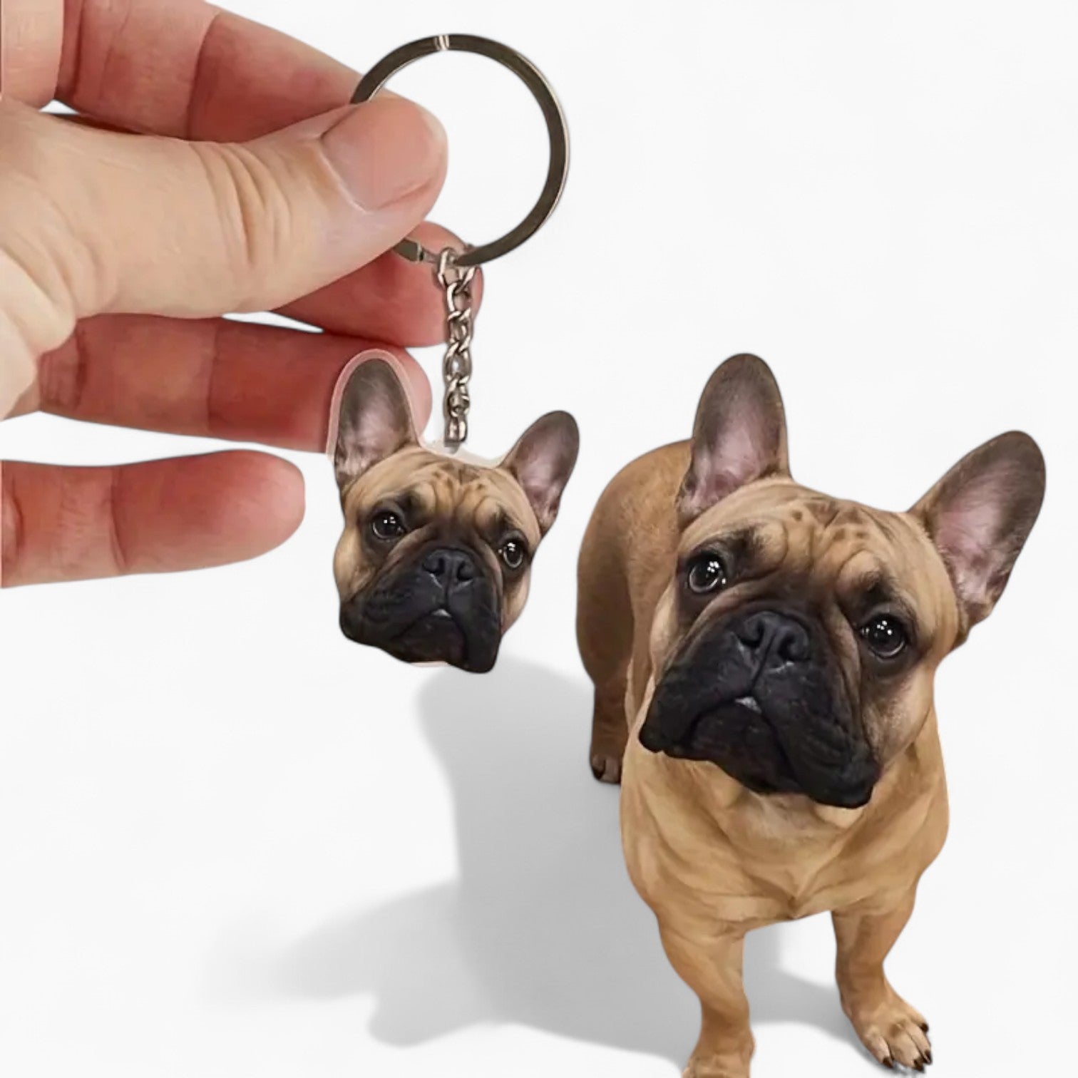 French Bulldog Personalized Custom ID Tag for French Bulldogs-fadou