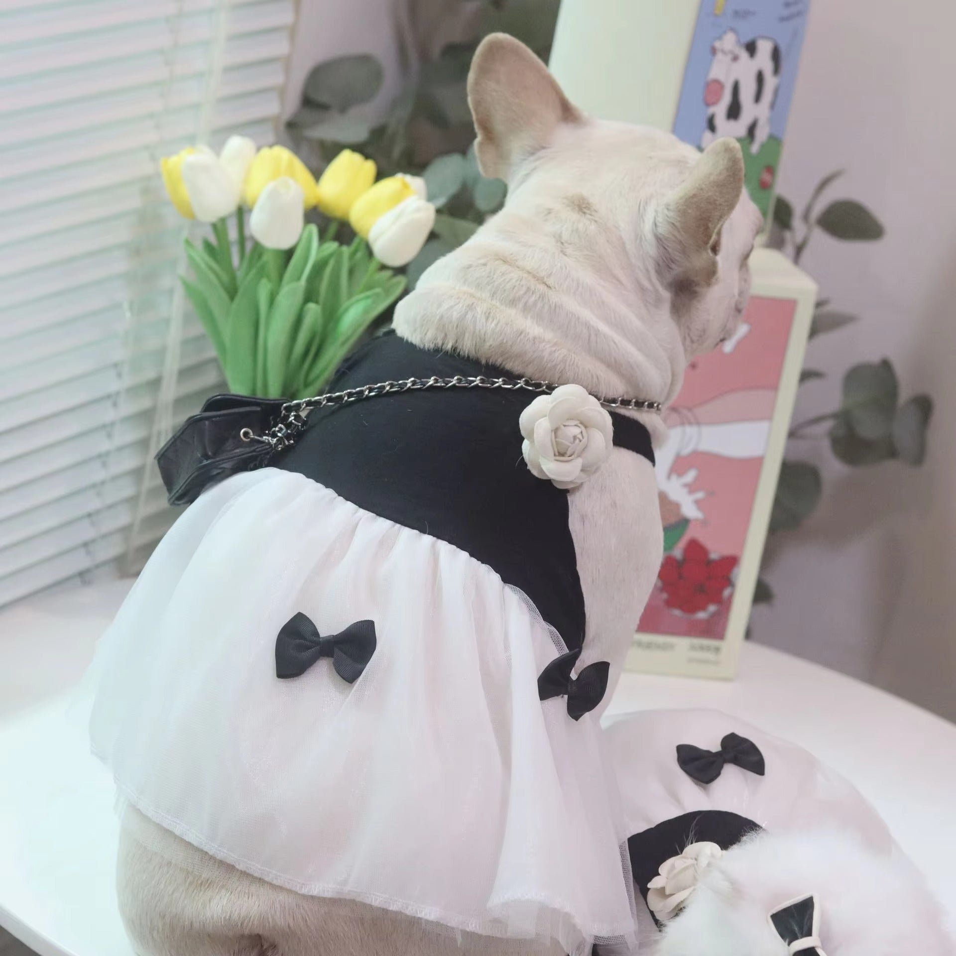 DresiPup French Bulldog Pet Dress for Training Sessions-fadou