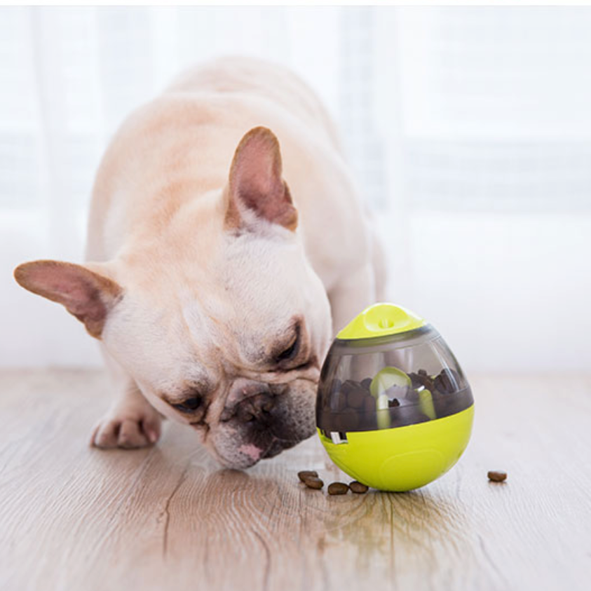 French Bulldog Interactive Accessory for Bulldog Owners-fadou