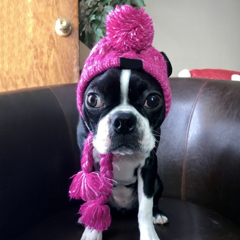 French Bulldog Winter Cute Dog Hat for Training Sessions-fadou