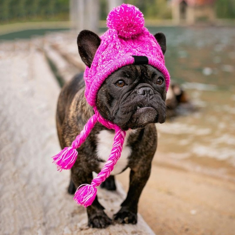 French Bulldog Winter Cute Dog Hat for Training Sessions-fadou